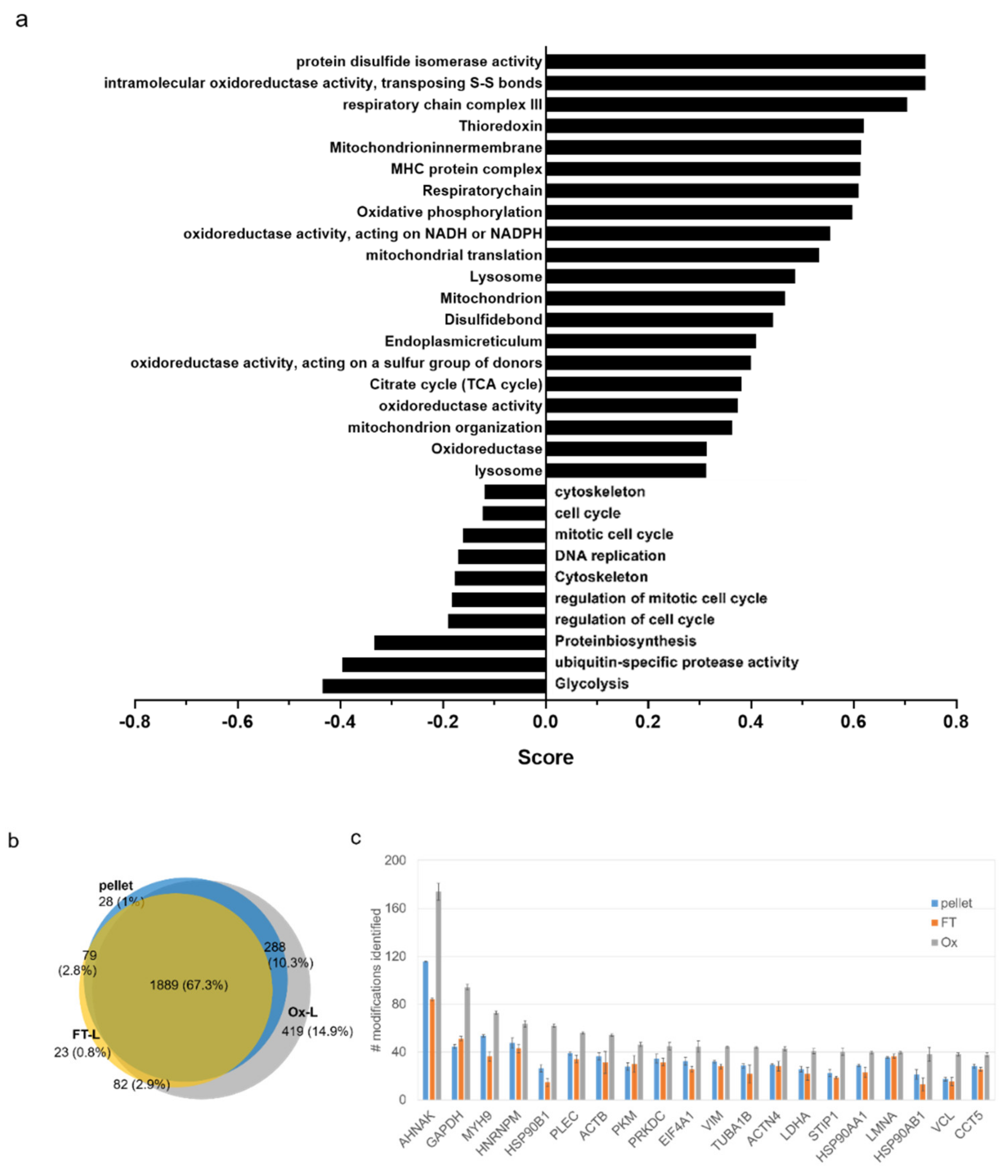 Vaccines Free Full Text Deciphering The Mechanisms Of Improved Immunogenicity Of Hypochlorous Acid Treated Antigens In Anti Cancer Dendritic Cell Based Vaccines Html