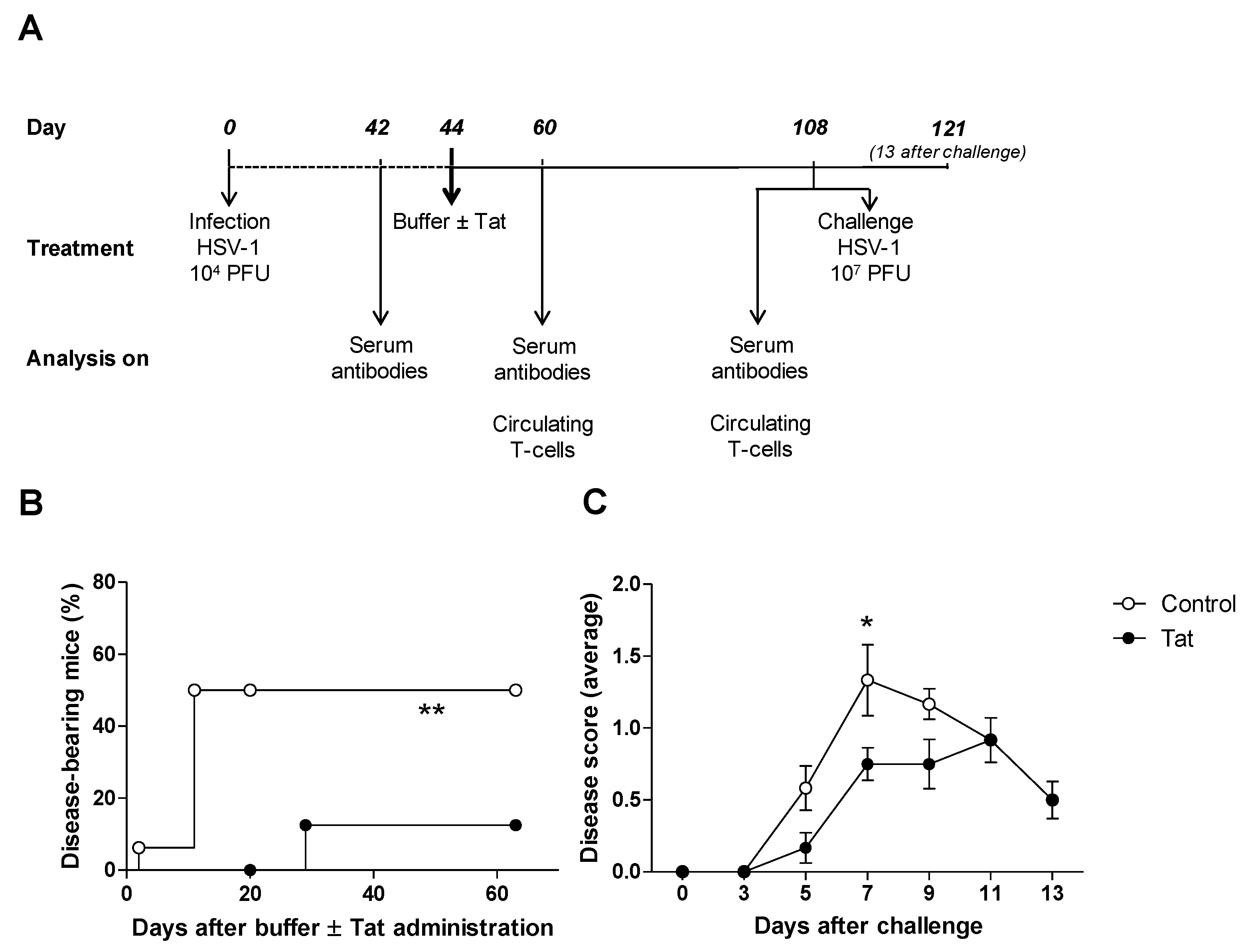 Vaccines 08 00274 g001