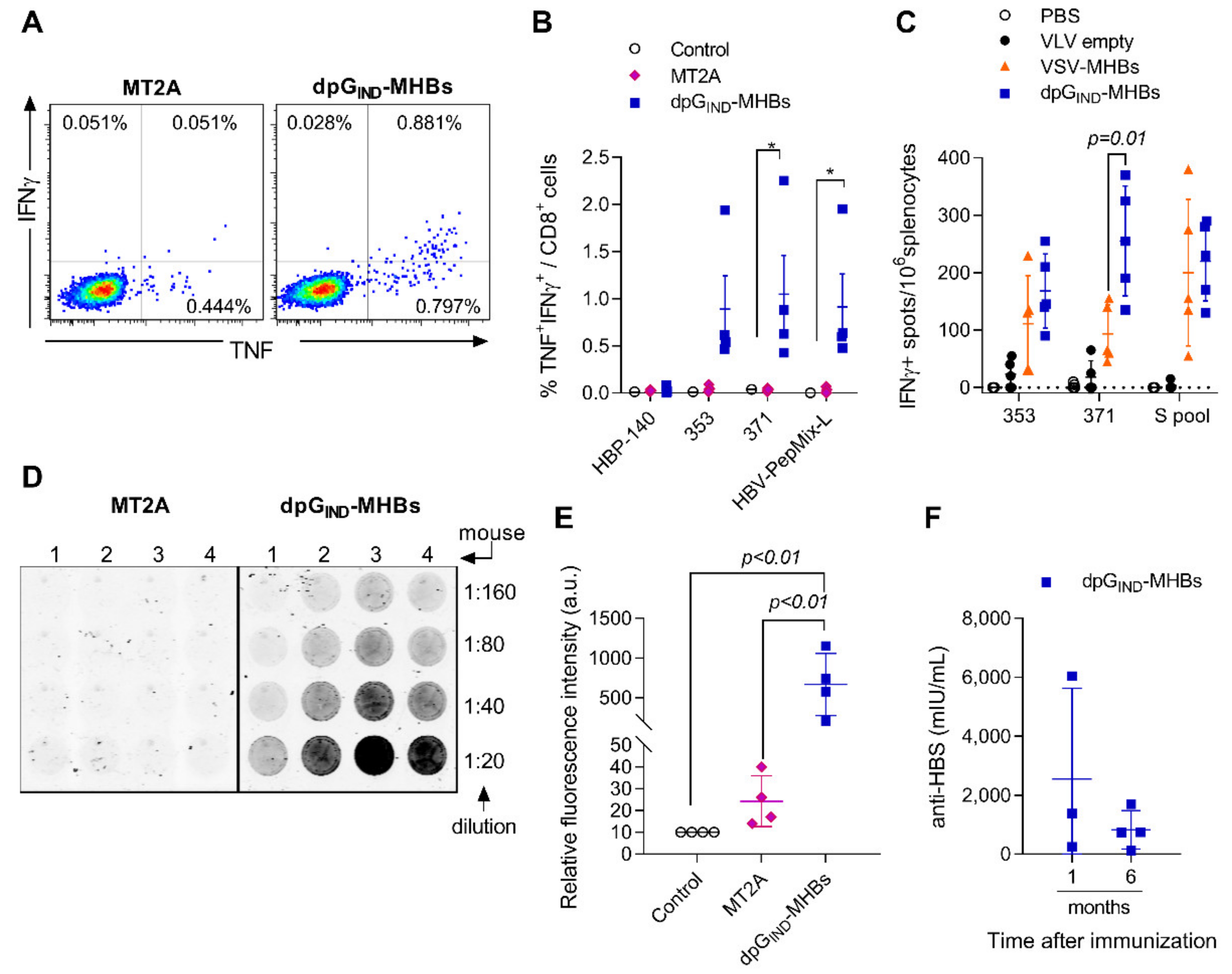 Vaccines 08 00279 g002