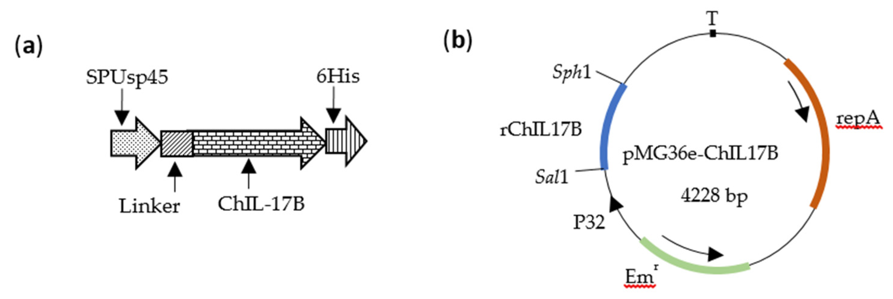 Vaccines 08 00282 g001 Vaccines 08 00282 g001