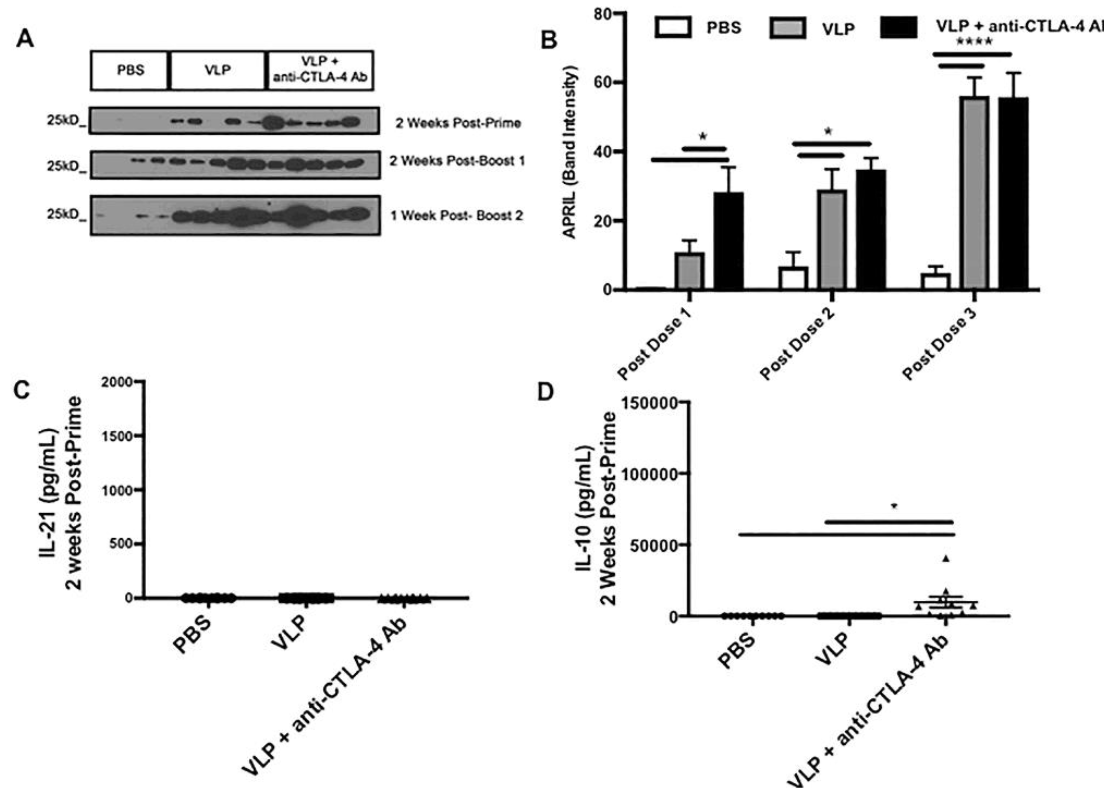 Vaccines 08 00284 g005a