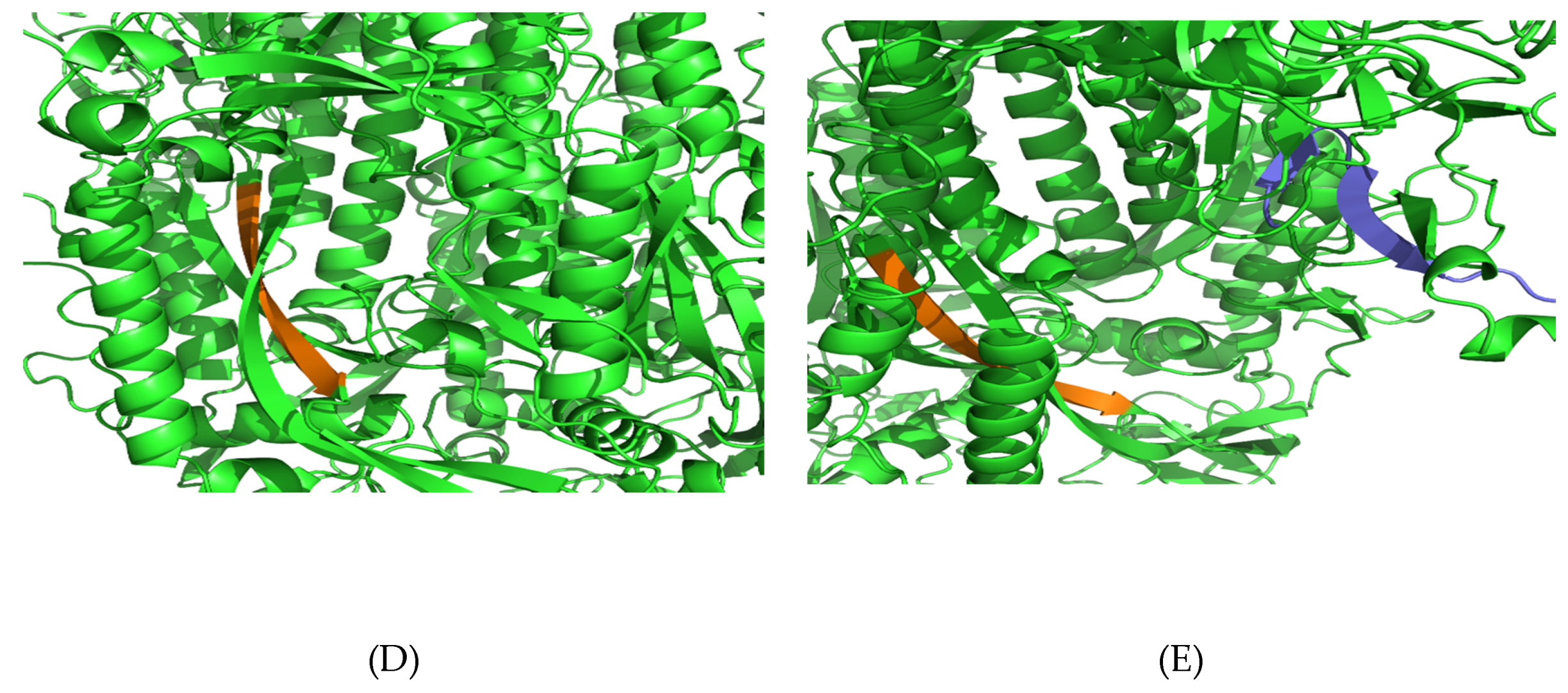 Vaccines 08 00290 g002b Vaccines 08 00290 g002b