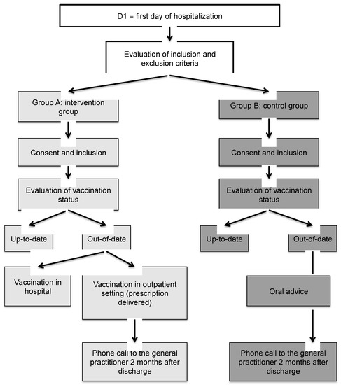 Vaccines Free Full Text Impact Of A Catch Up Strategy Of Dt Ipv Vaccination During Hospitalization On Vaccination Coverage Among People Over 65 Years Of Age In France The Hospivac Study Vaccination During