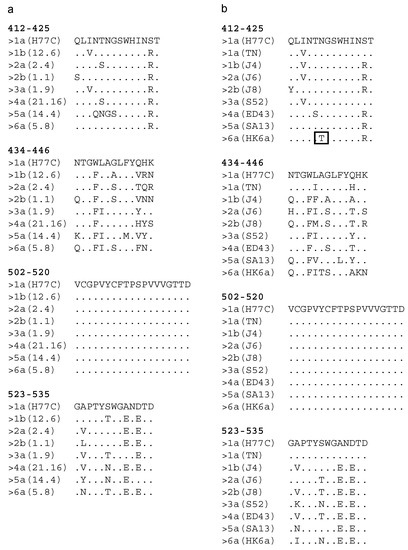 Vaccines Free Full Text Specific Antibodies Induced By Immunization With Hepatitis B Virus Like Particles Carrying Hepatitis C Virus Envelope Glycoprotein 2 Epitopes Show Differential Neutralization Efficiency Html