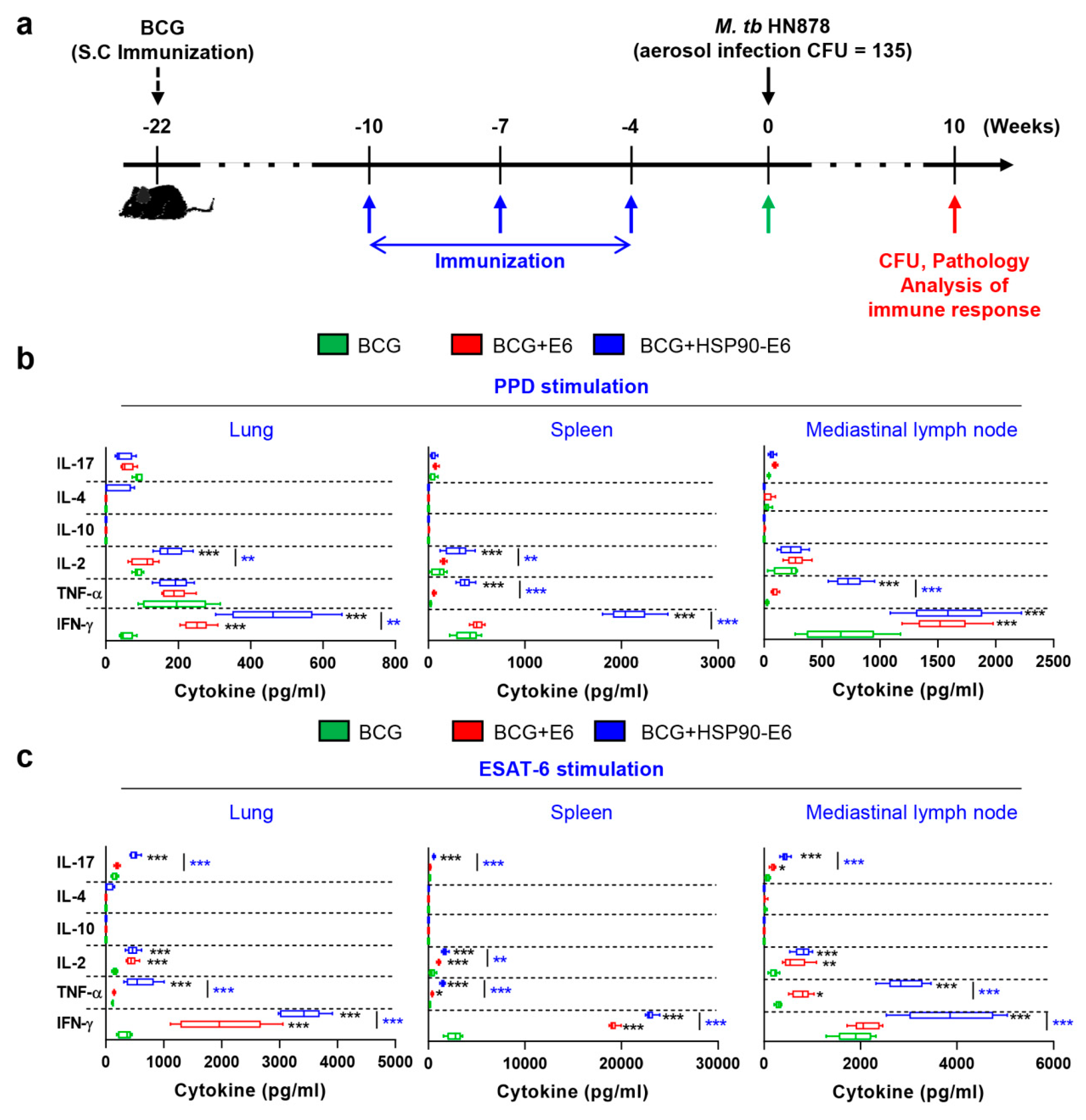 Vaccines 08 00300 g001 Vaccines 08 00300 g001