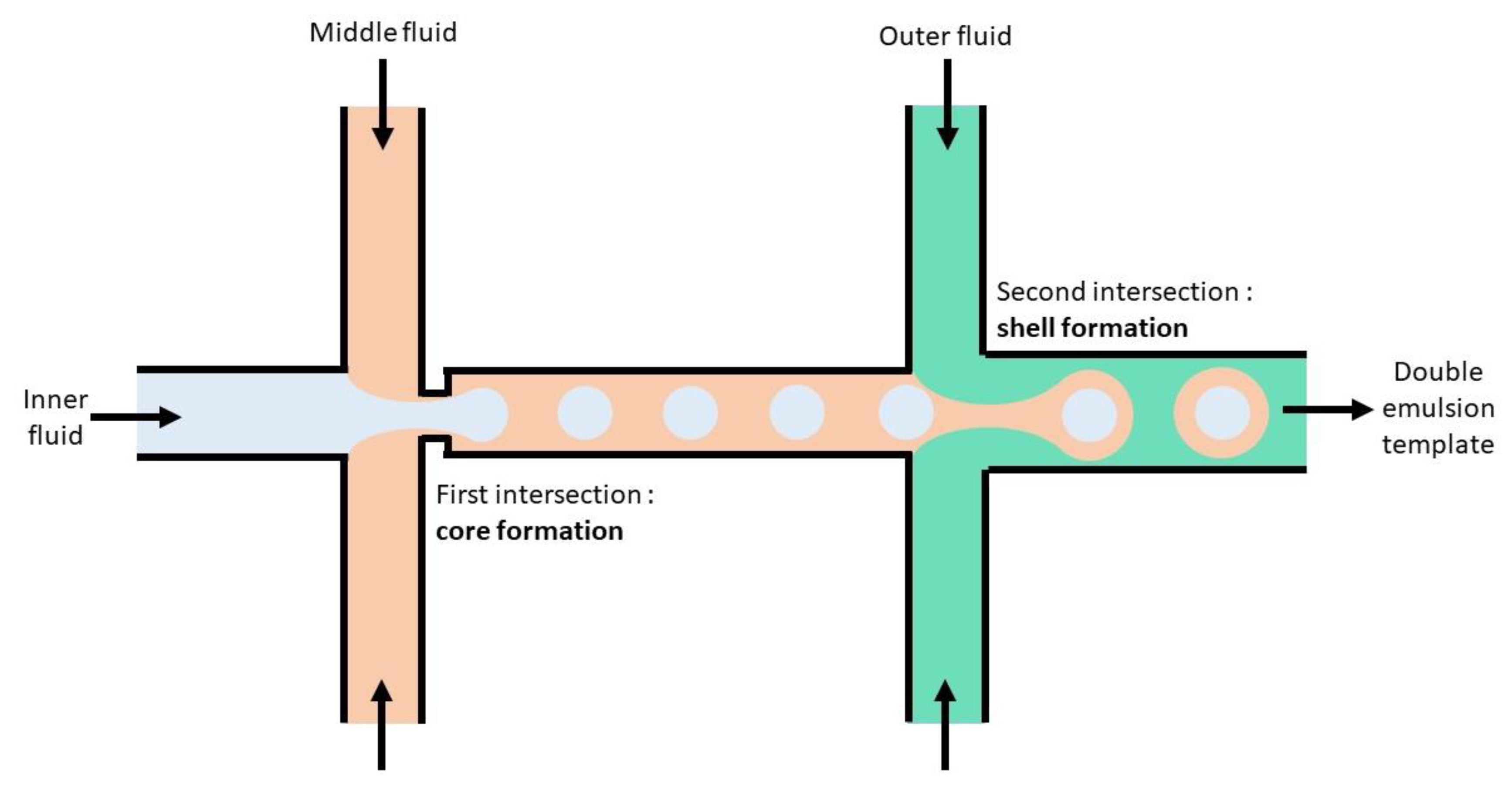 Vaccines 08 00304 g004