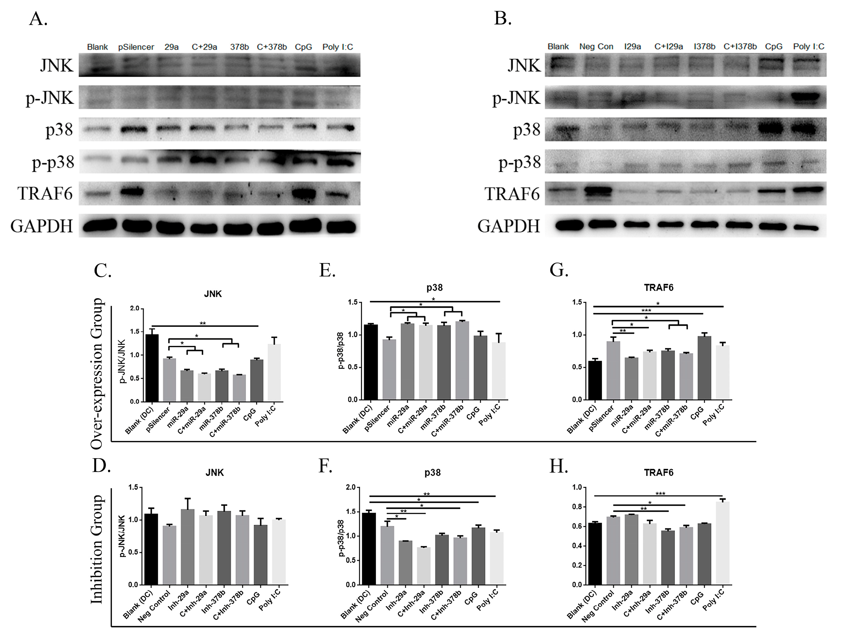 Vaccines 08 00305 i001