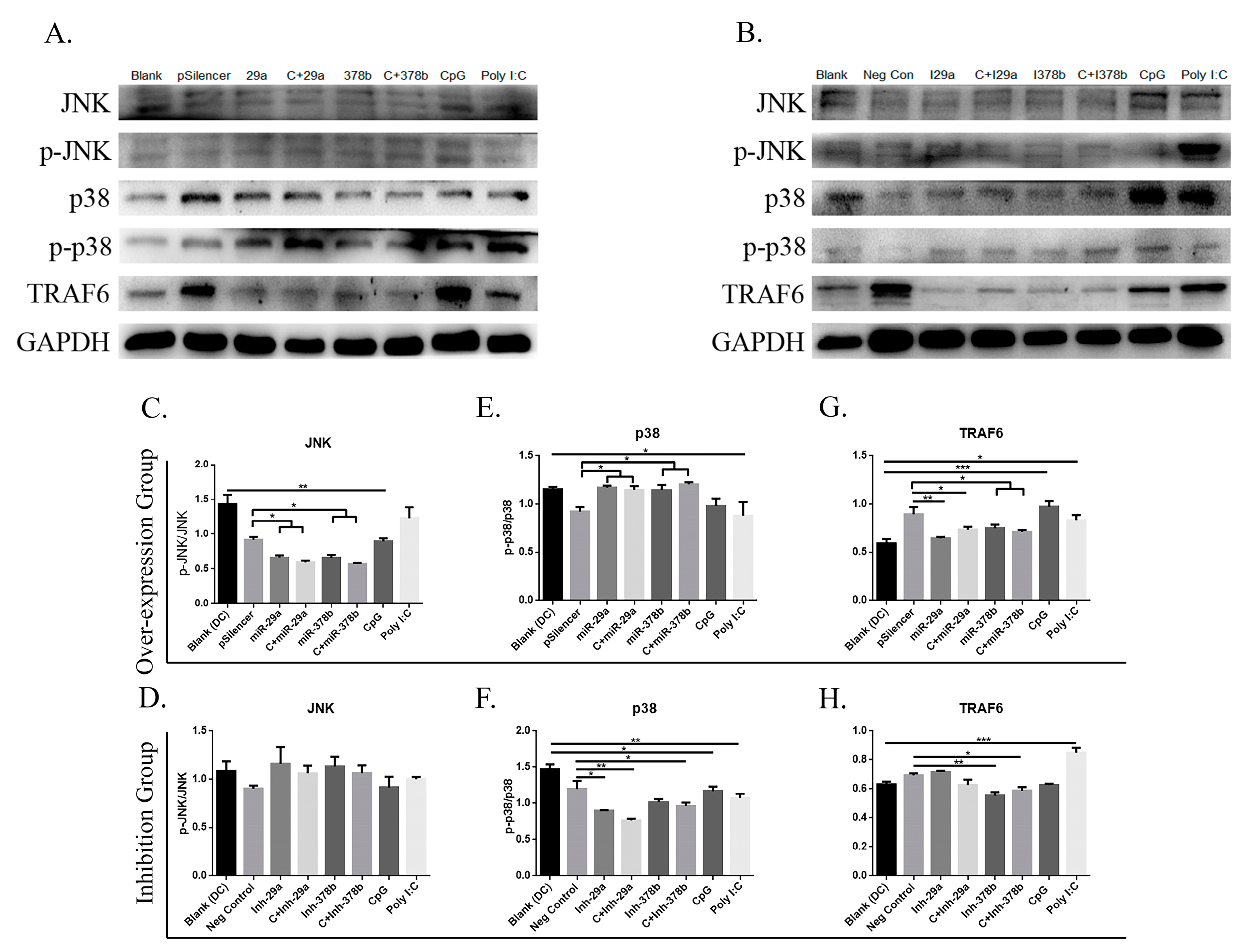 Vaccines 08 00305 i002 Vaccines 08 00305 i002