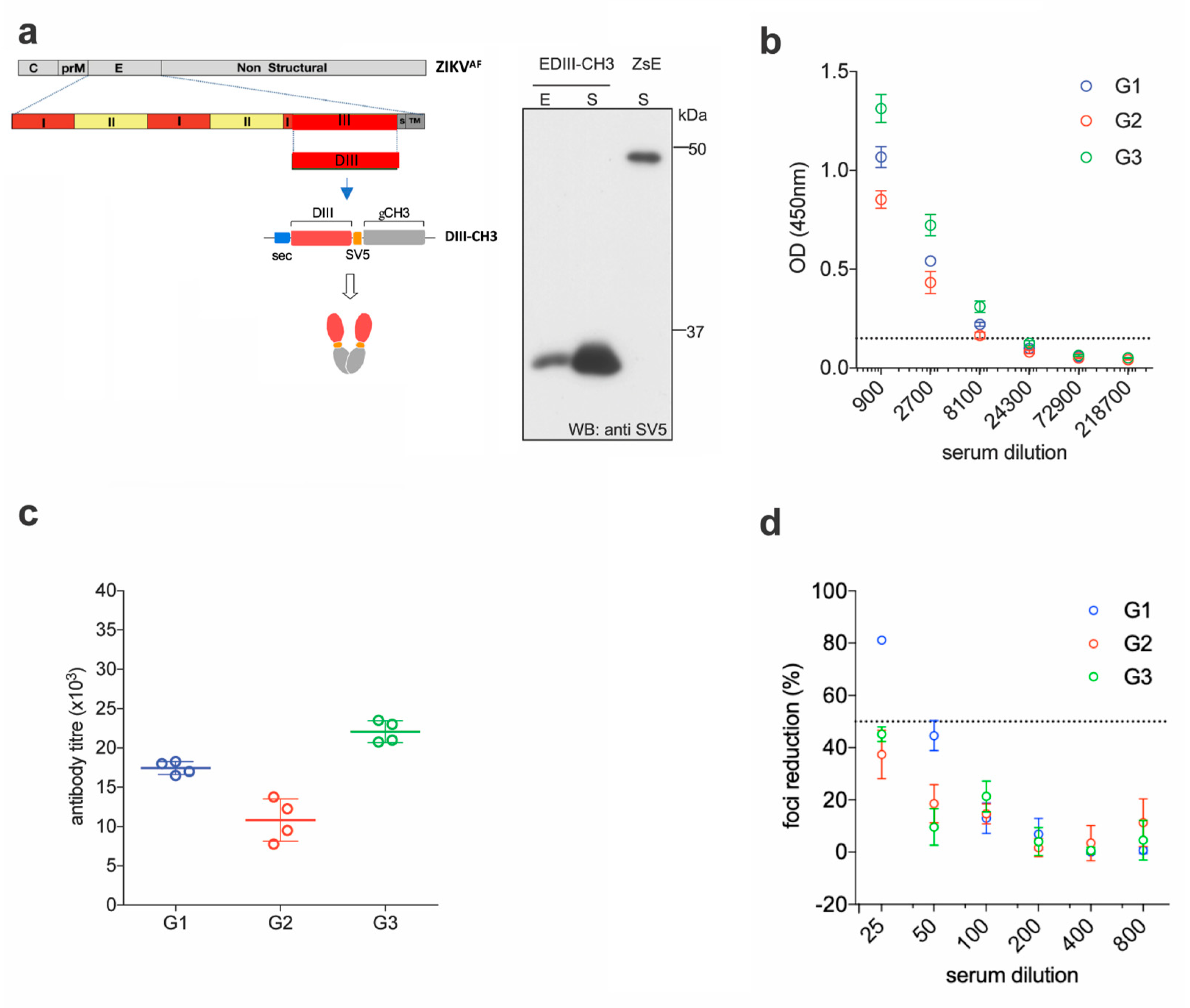 Vaccines 08 00307 g001 Vaccines 08 00307 g001