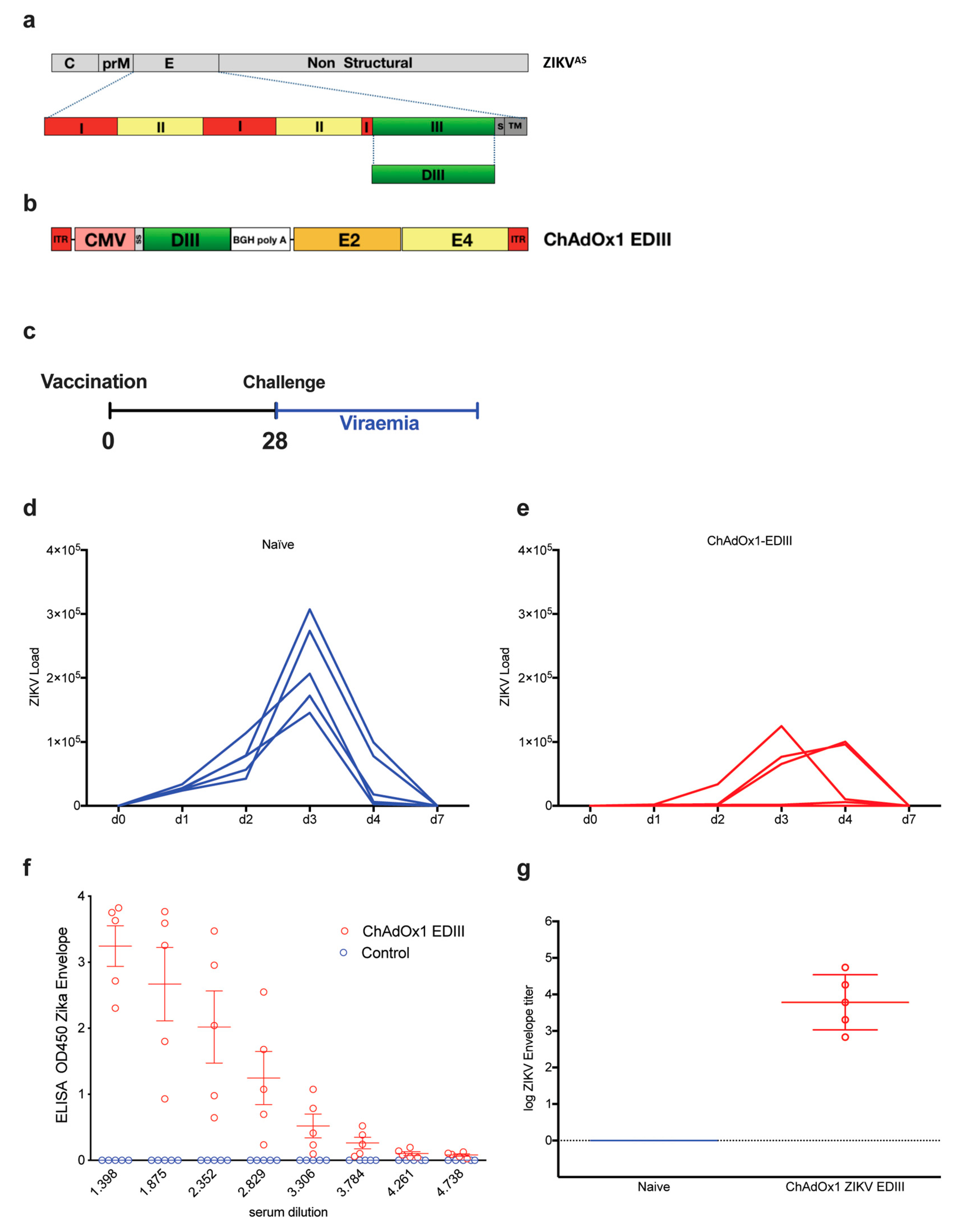 Vaccines 08 00307 g004 Vaccines 08 00307 g004