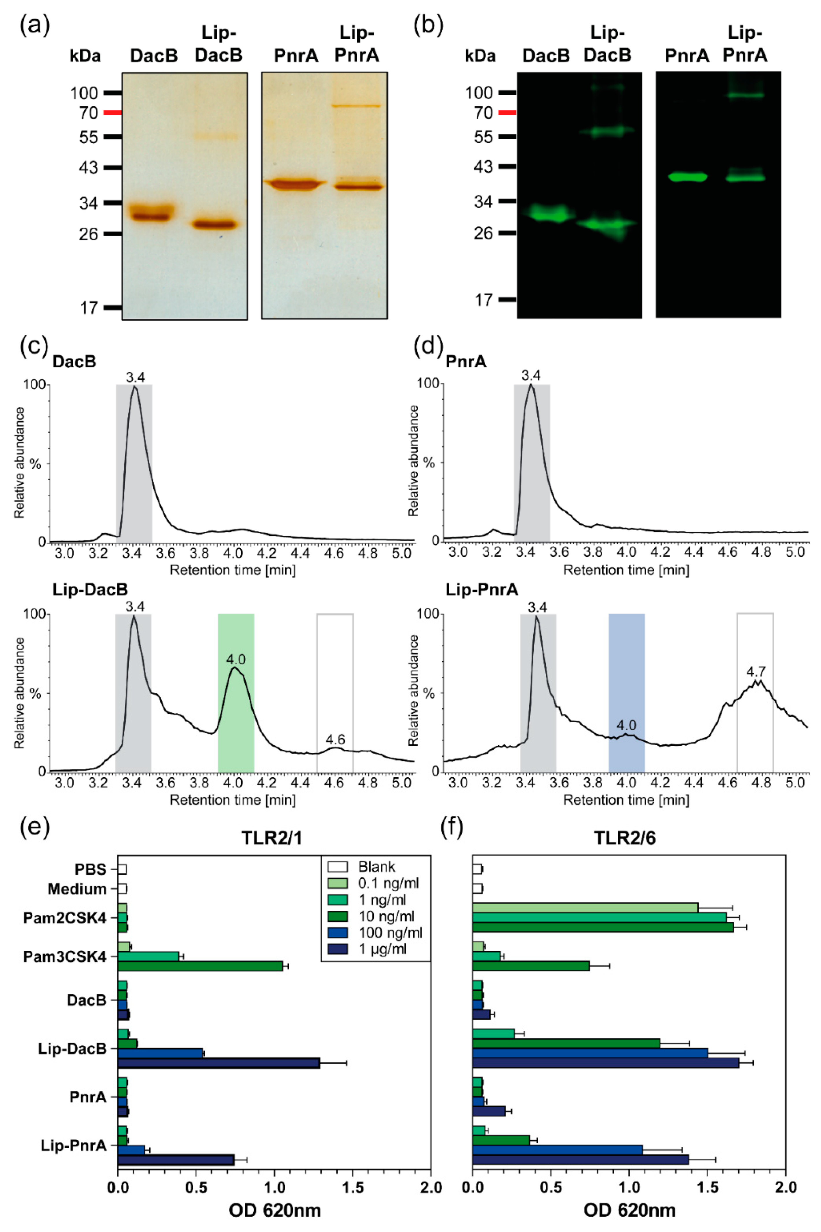 Vaccines 08 00310 g001 Vaccines 08 00310 g001