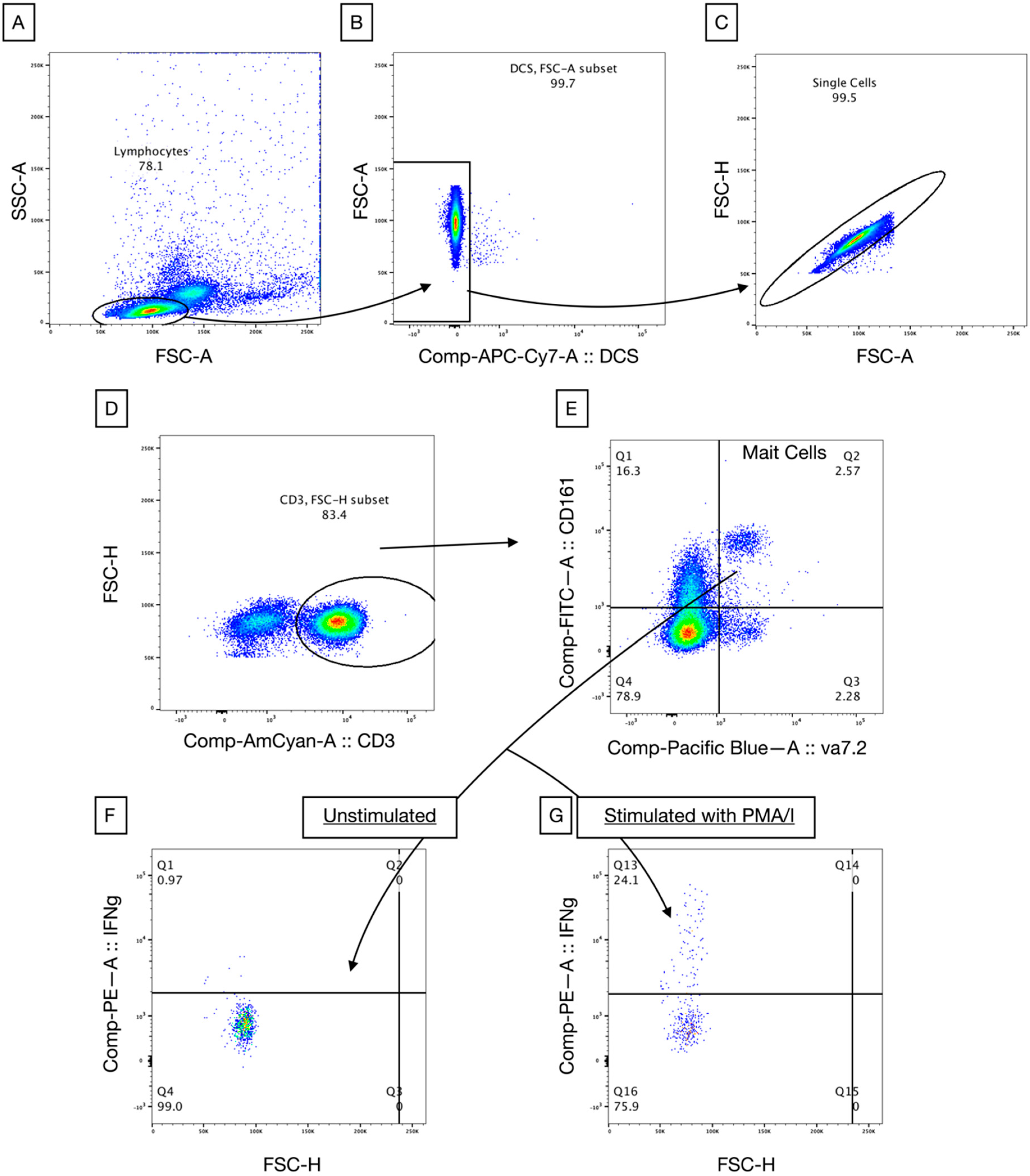 Vaccines 08 00311 g001 Vaccines 08 00311 g001