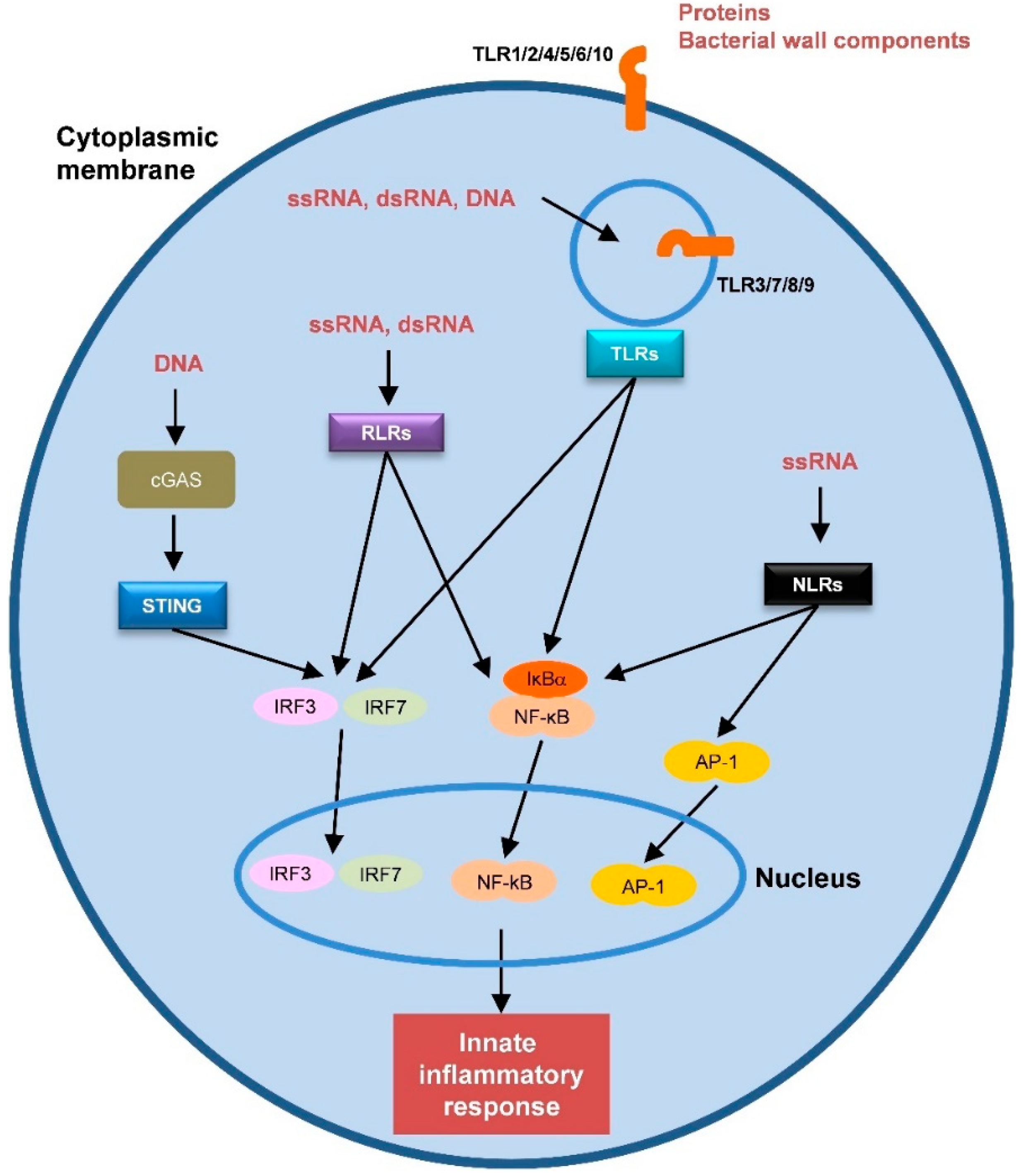 Vaccines 08 00313 g001 Vaccines 08 00313 g001