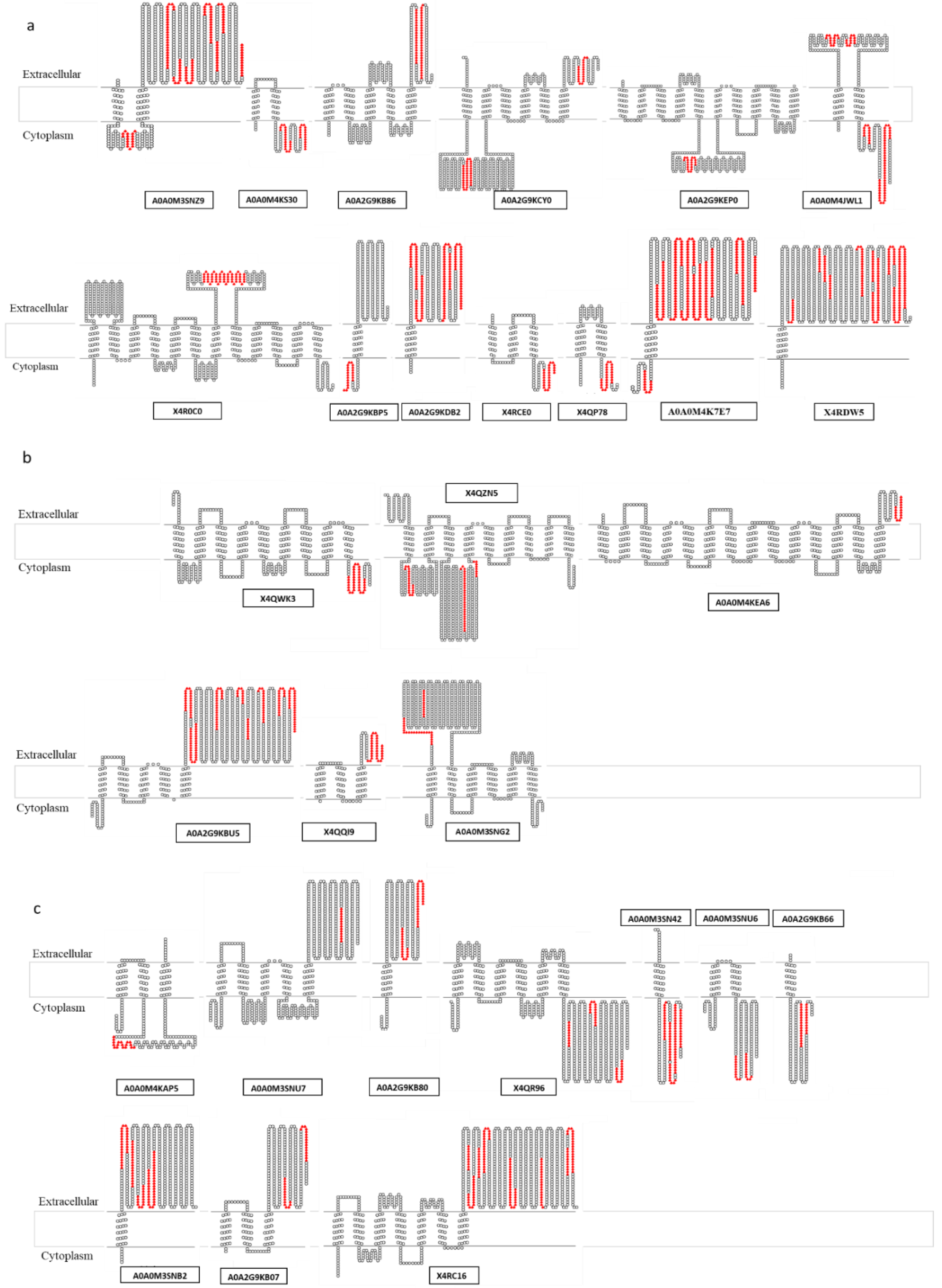 Vaccines 08 00314 g002 Vaccines 08 00314 g002