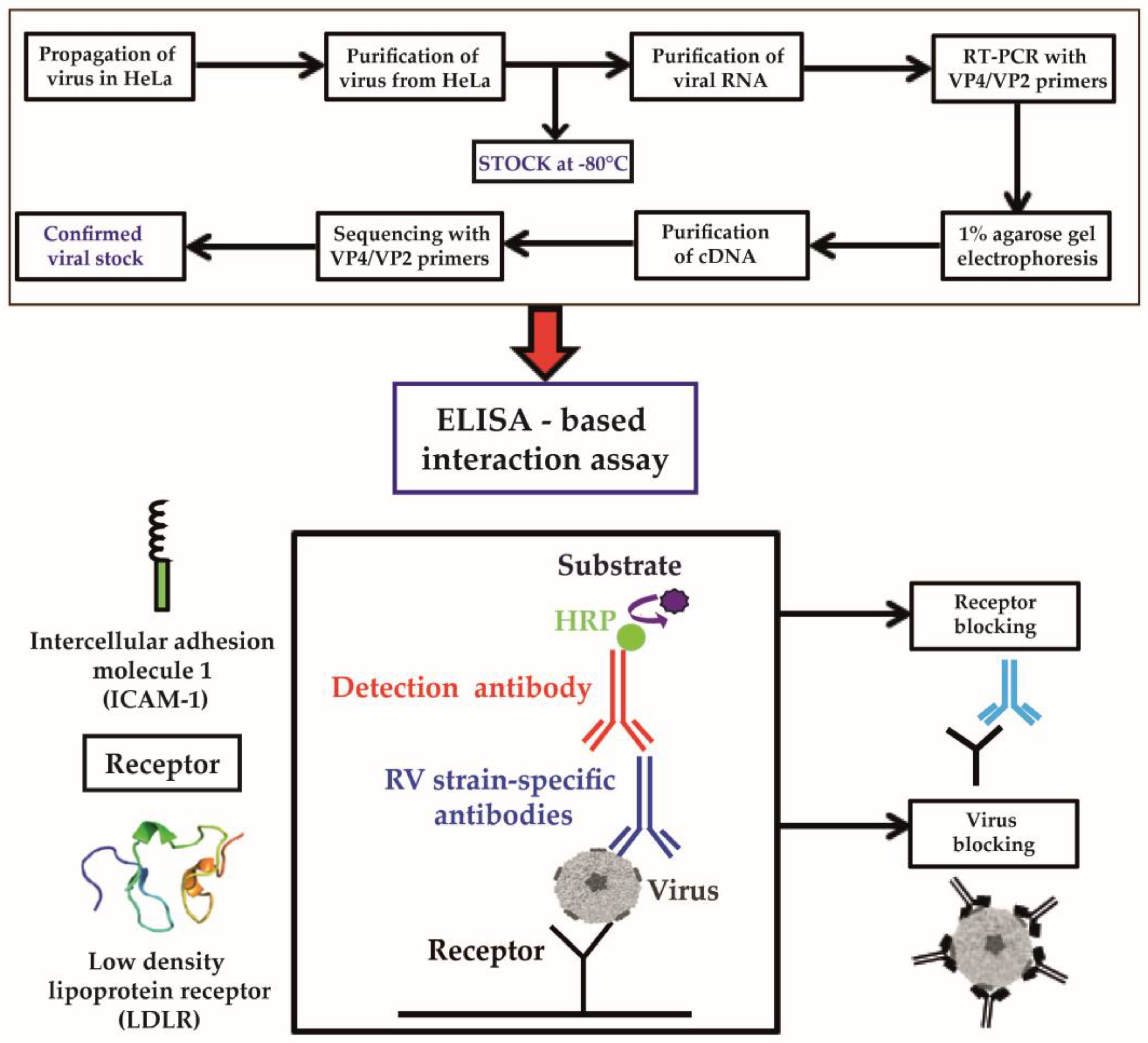 Vaccines 08 00315 g001