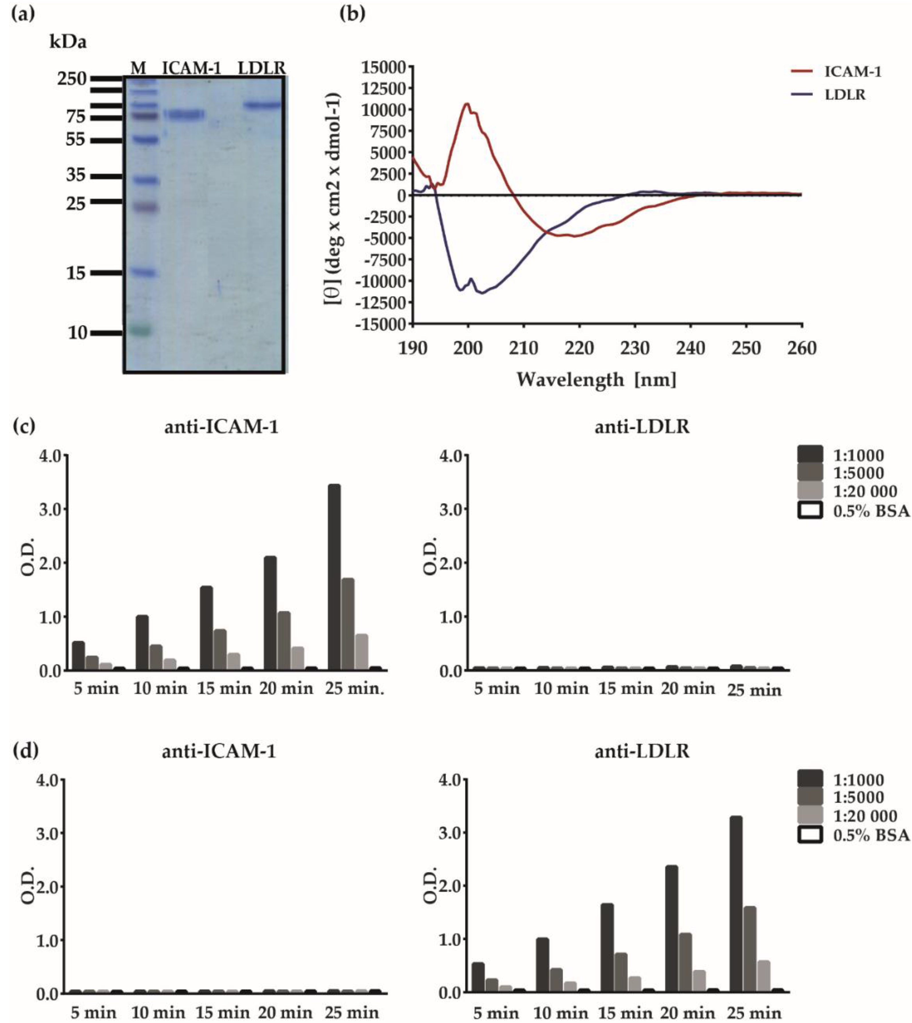 Vaccines 08 00315 g002