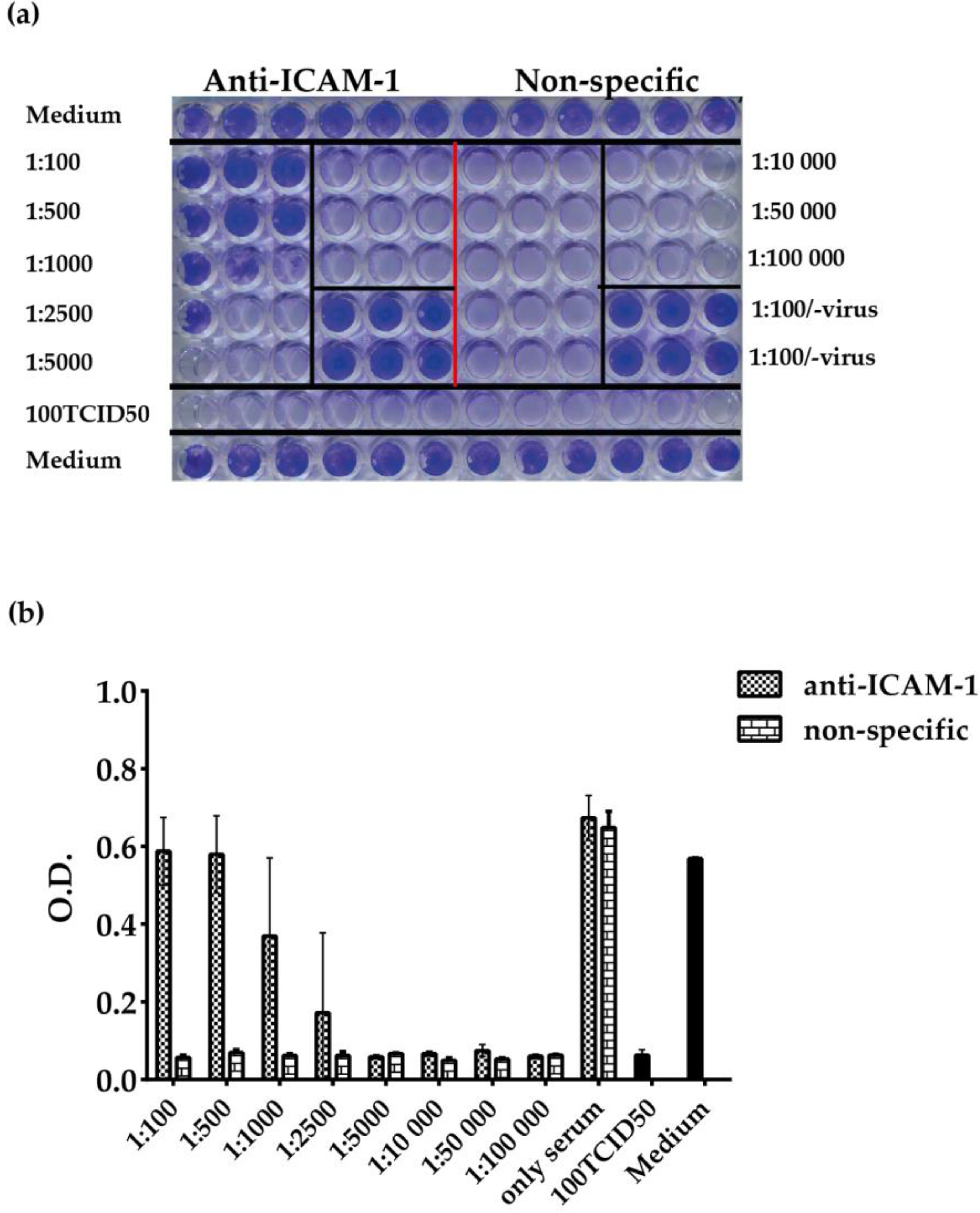 Vaccines 08 00315 g005