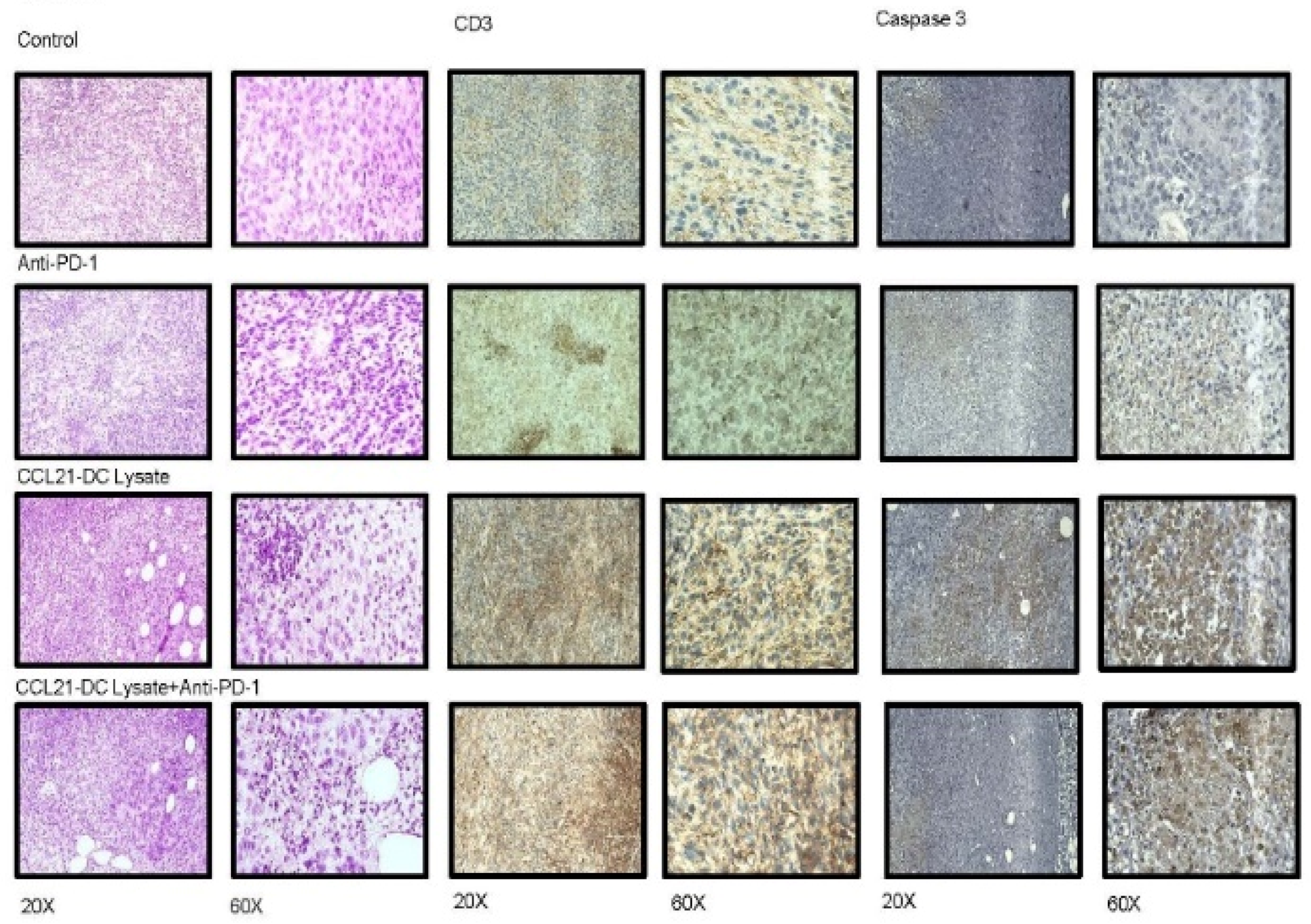 Vaccines 08 00317 g003a Vaccines 08 00317 g003a