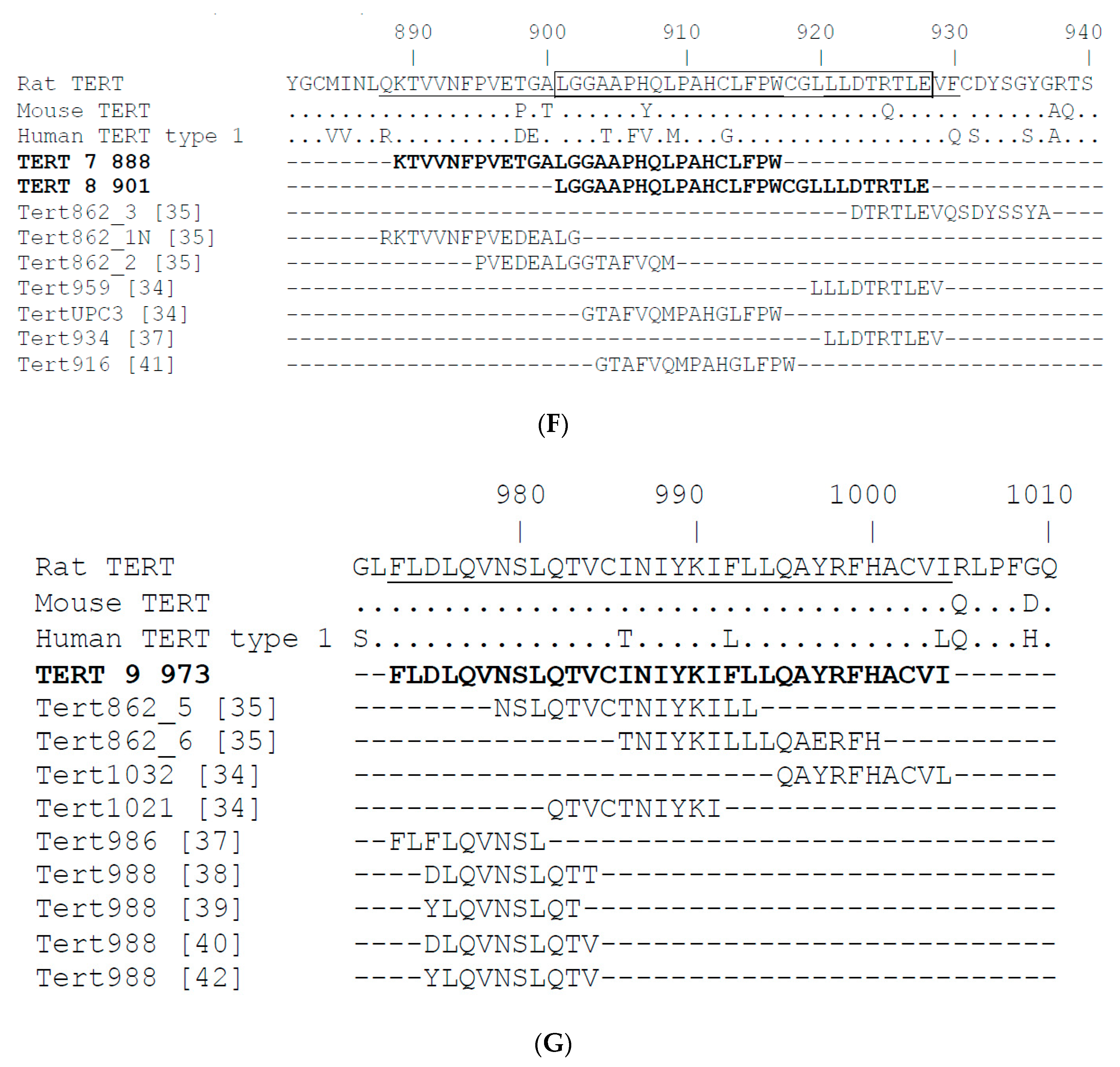 Vaccines 08 00318 g001c Vaccines 08 00318 g001c