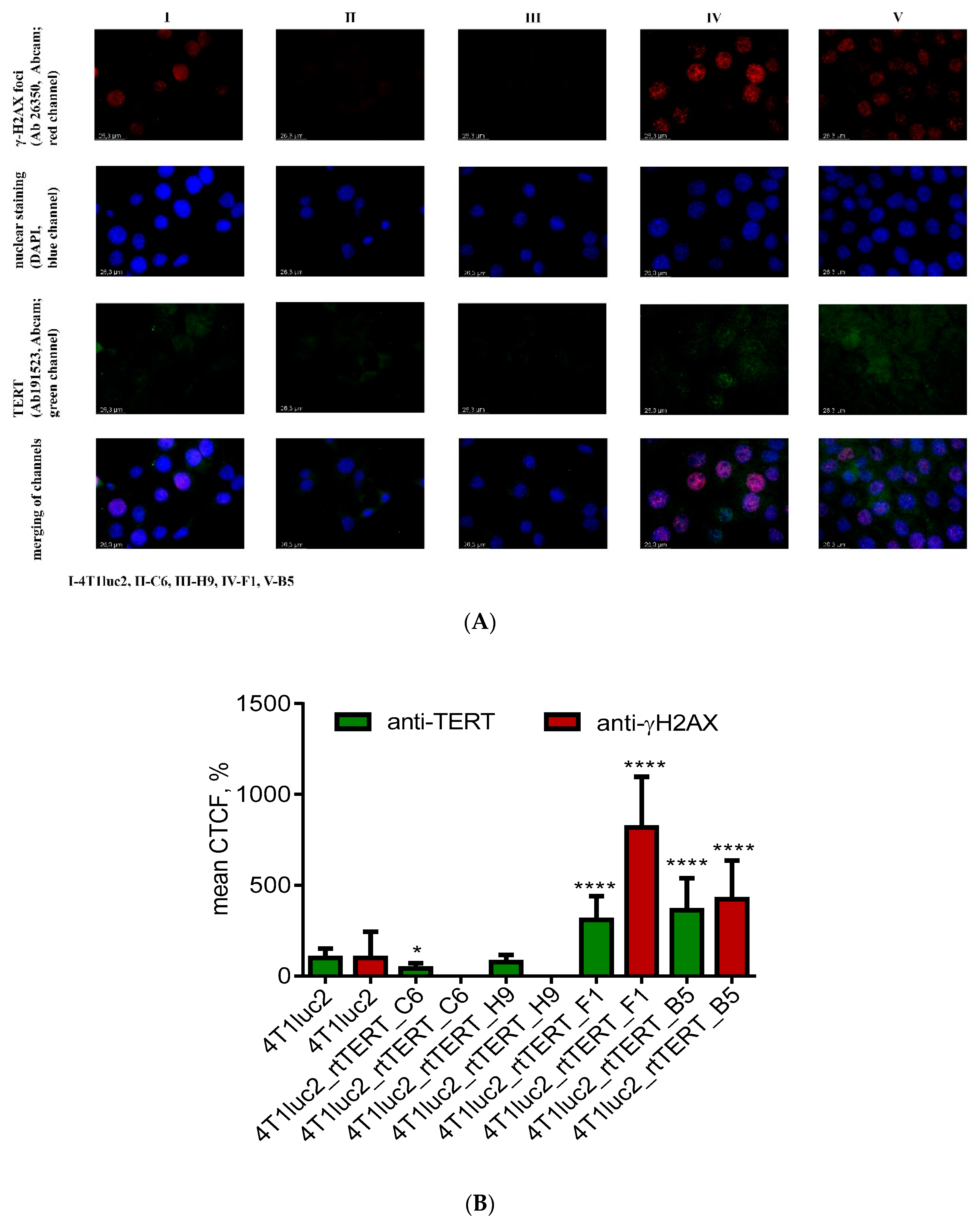 Vaccines 08 00318 g007 Vaccines 08 00318 g007