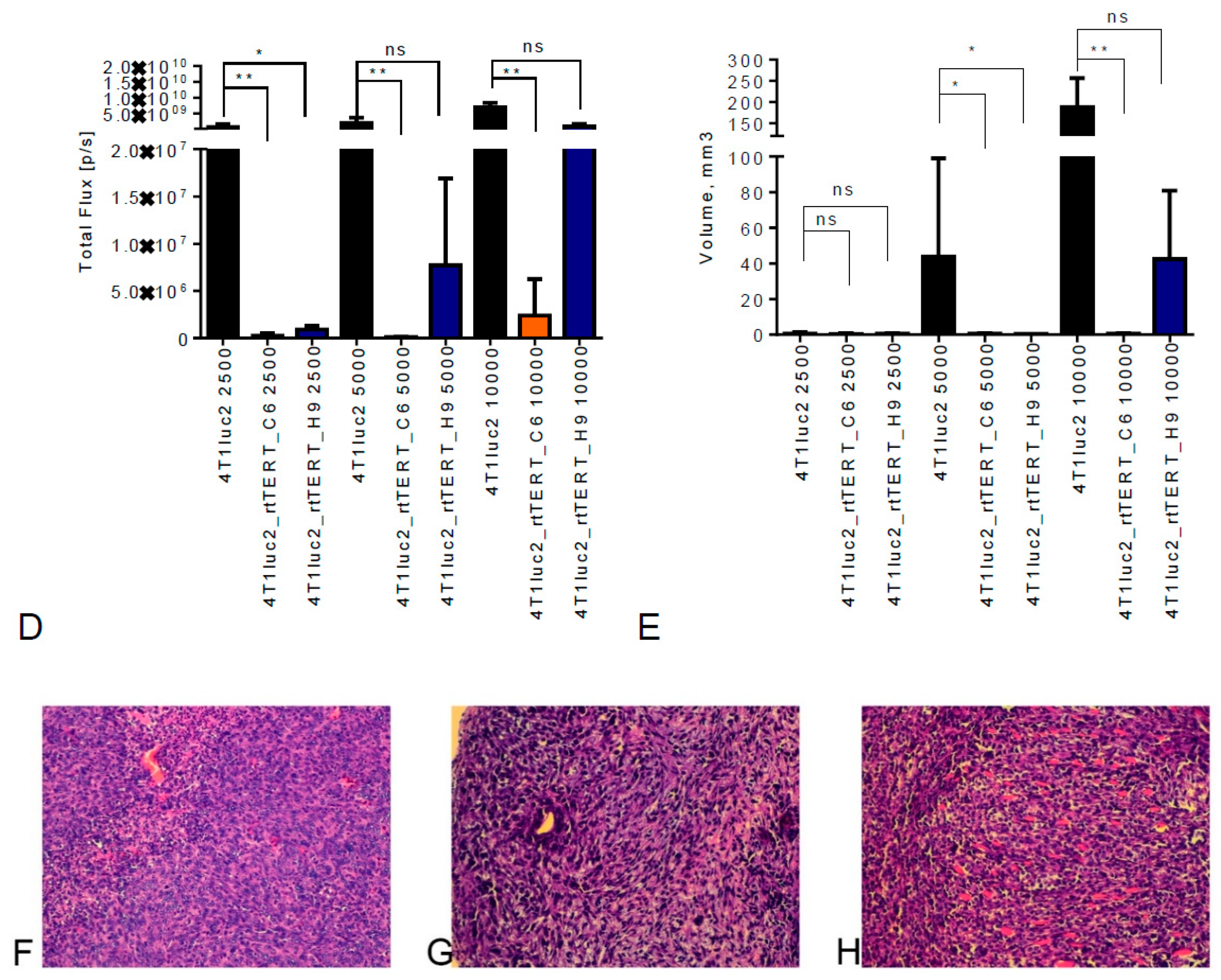 Vaccines 08 00318 g008b Vaccines 08 00318 g008b