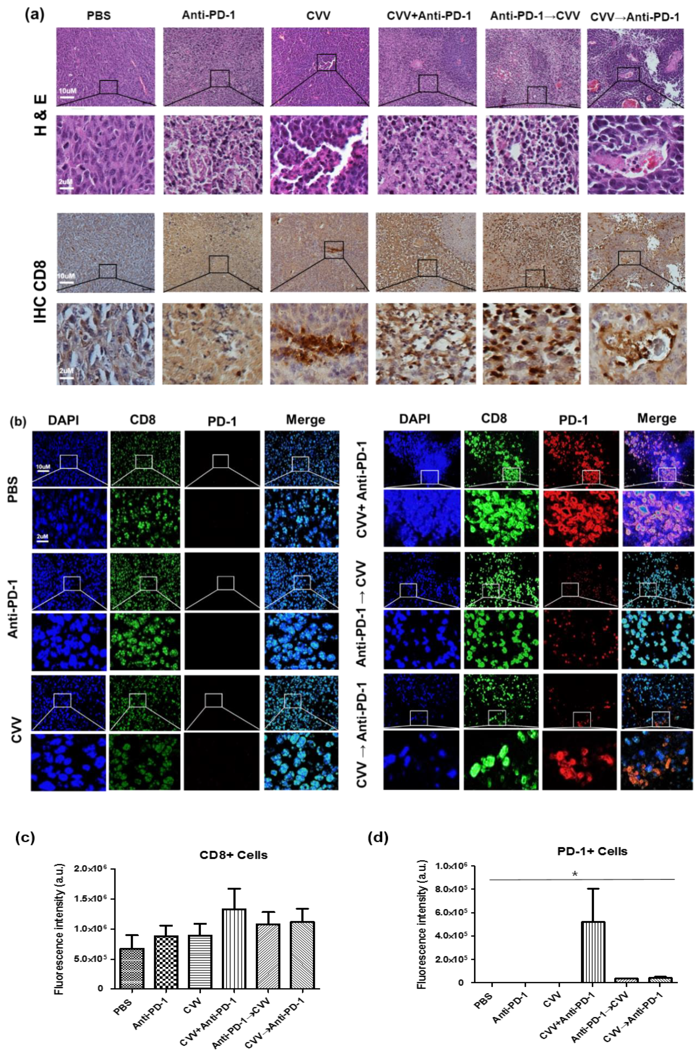 Vaccines 08 00321 g005 Vaccines 08 00321 g005