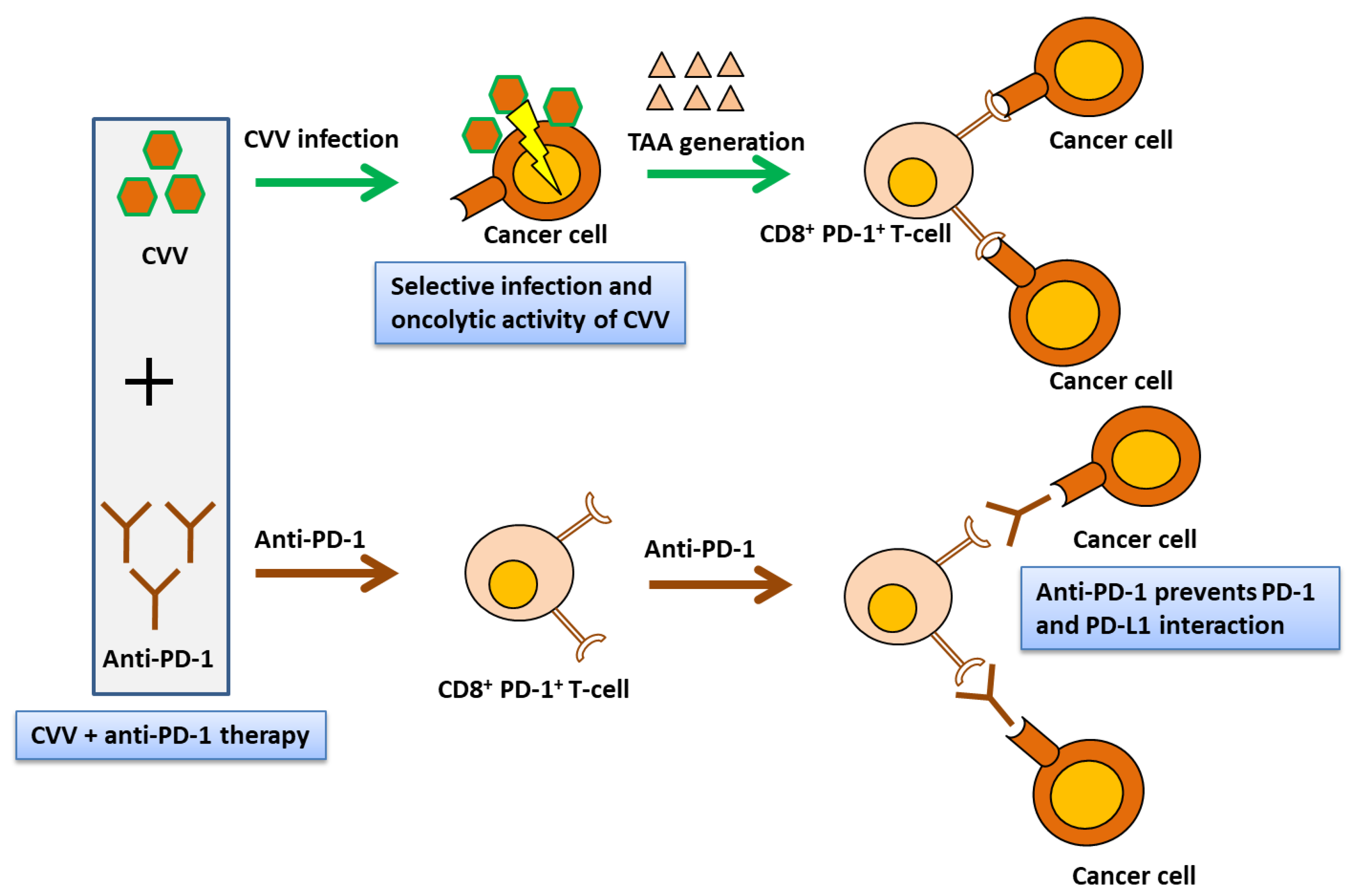Vaccines 08 00321 g009 Vaccines 08 00321 g009