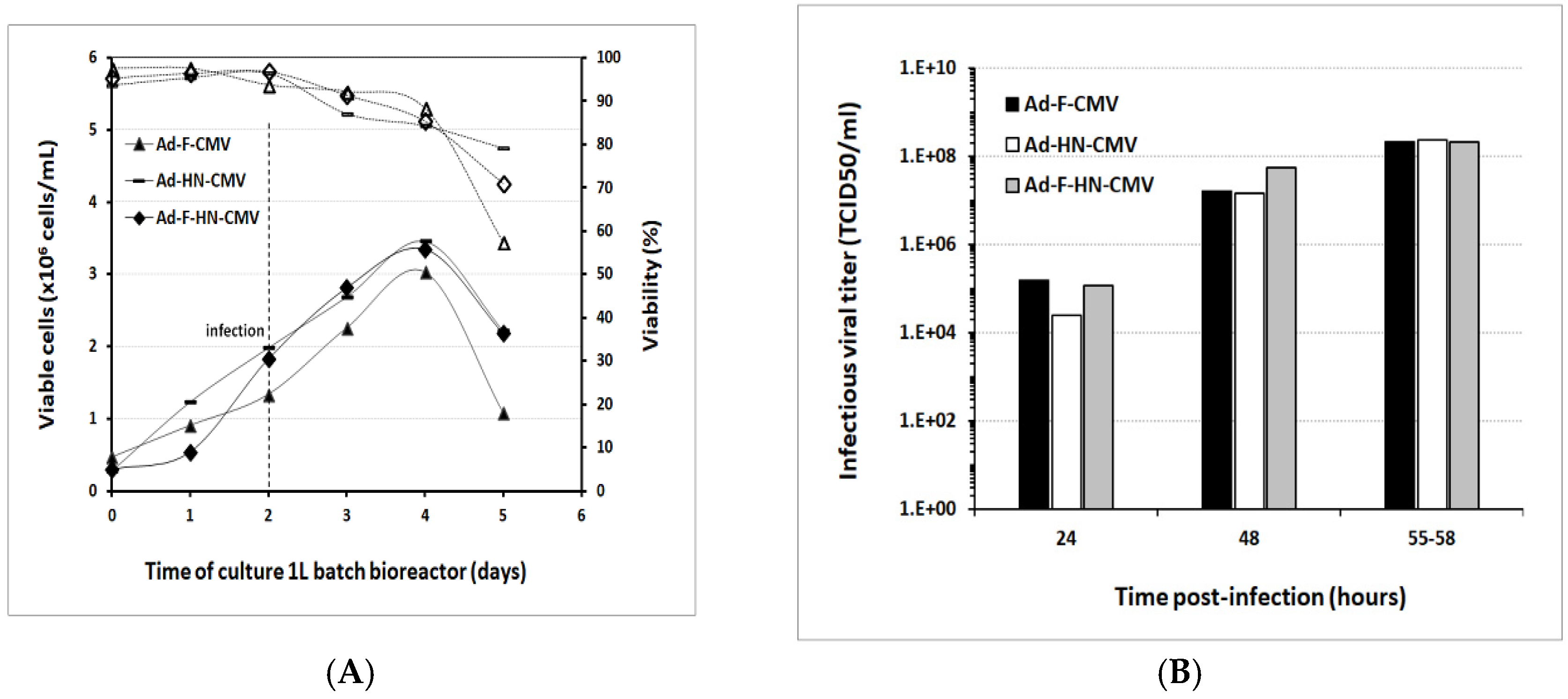 Vaccines 08 00338 g004