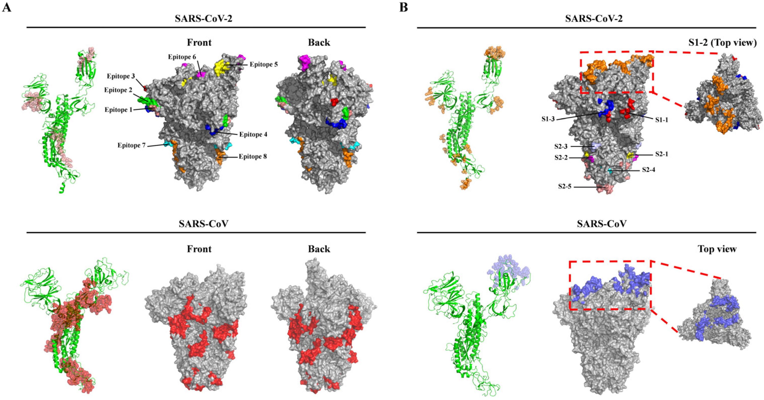 Vaccines 08 00355 g002 Vaccines 08 00355 g002