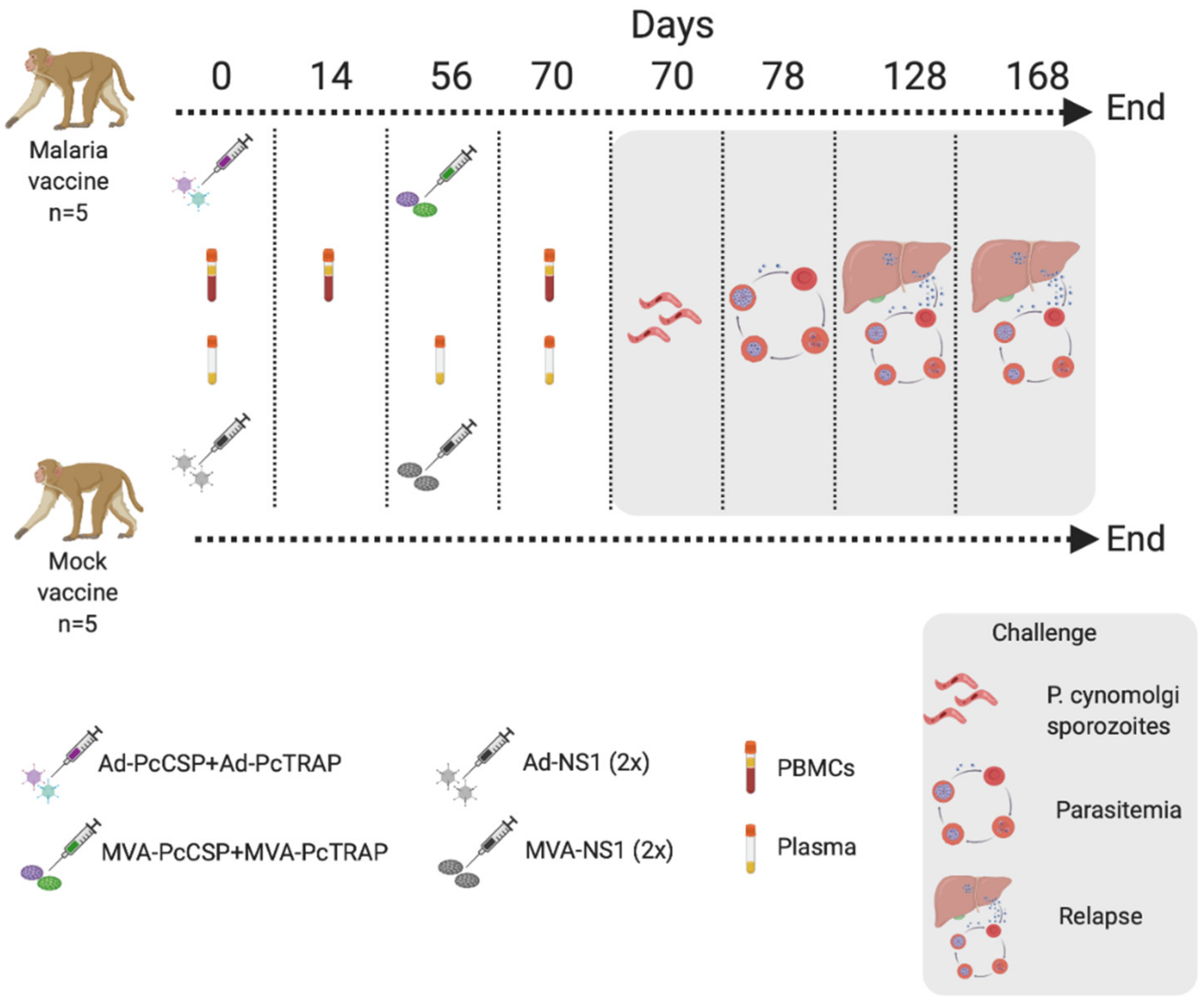 Vaccines 08 00363 g004 Vaccines 08 00363 g004