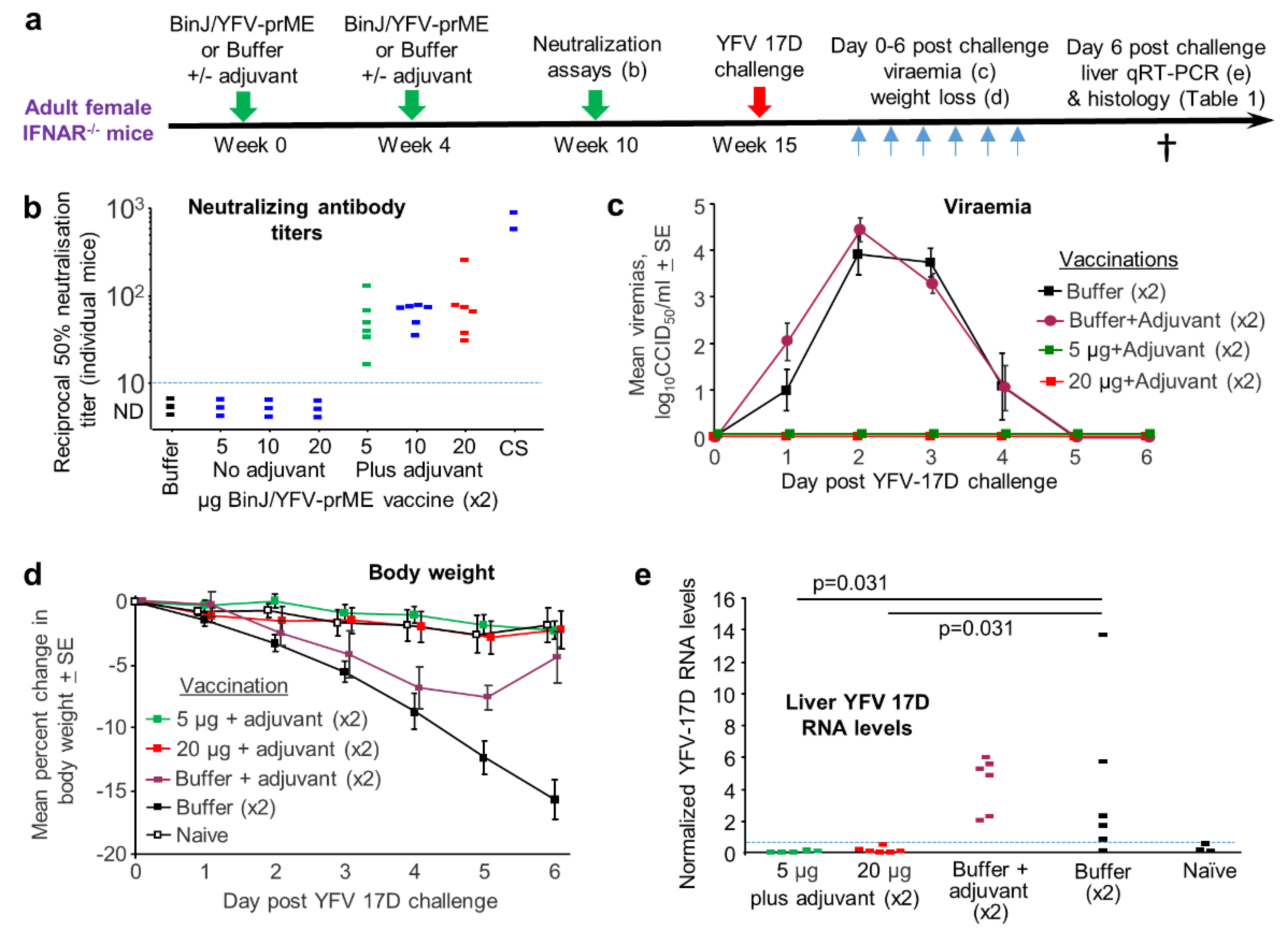 Vaccines 08 00368 g003 Vaccines 08 00368 g003