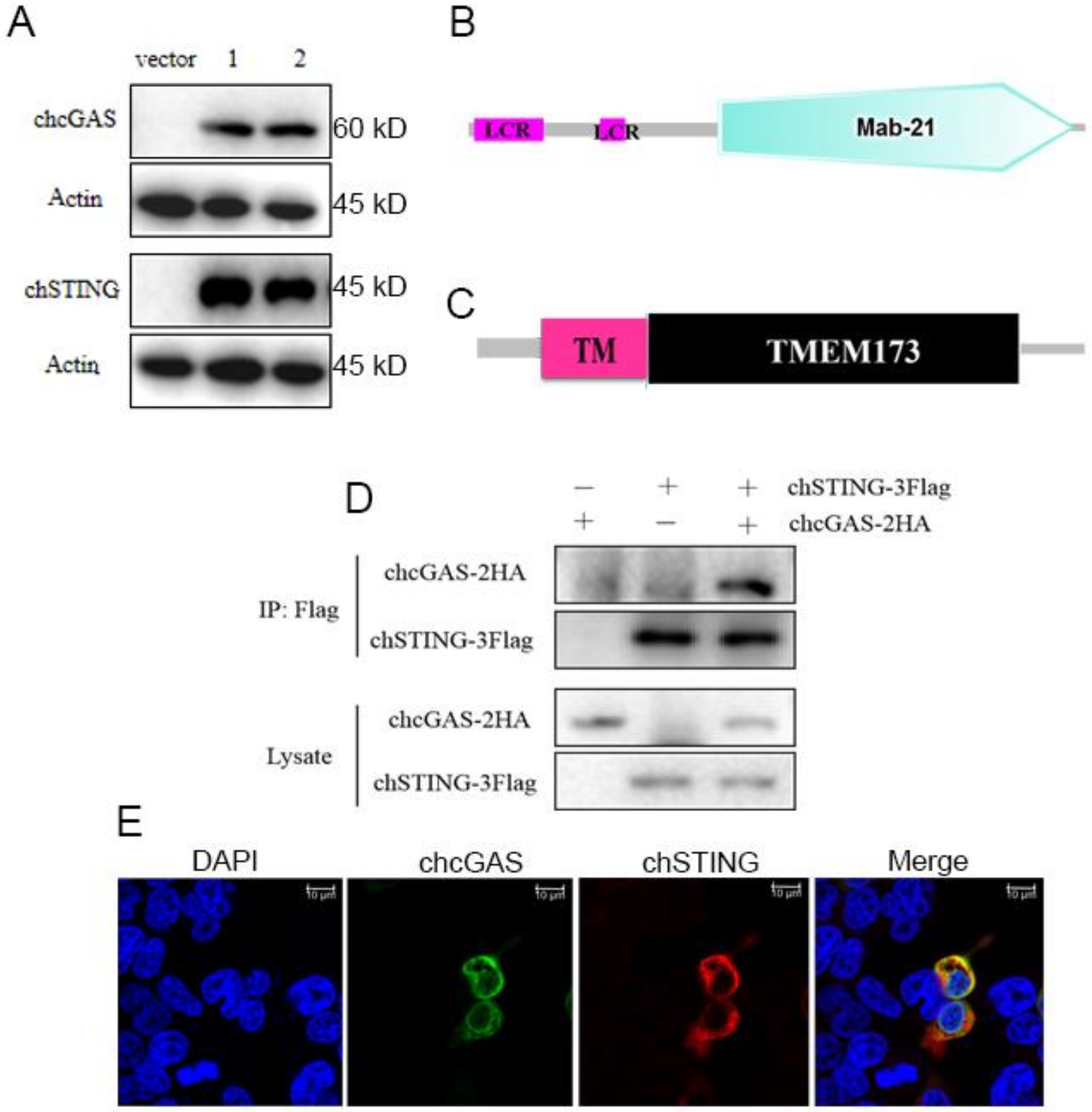 Vaccines 08 00369 g001