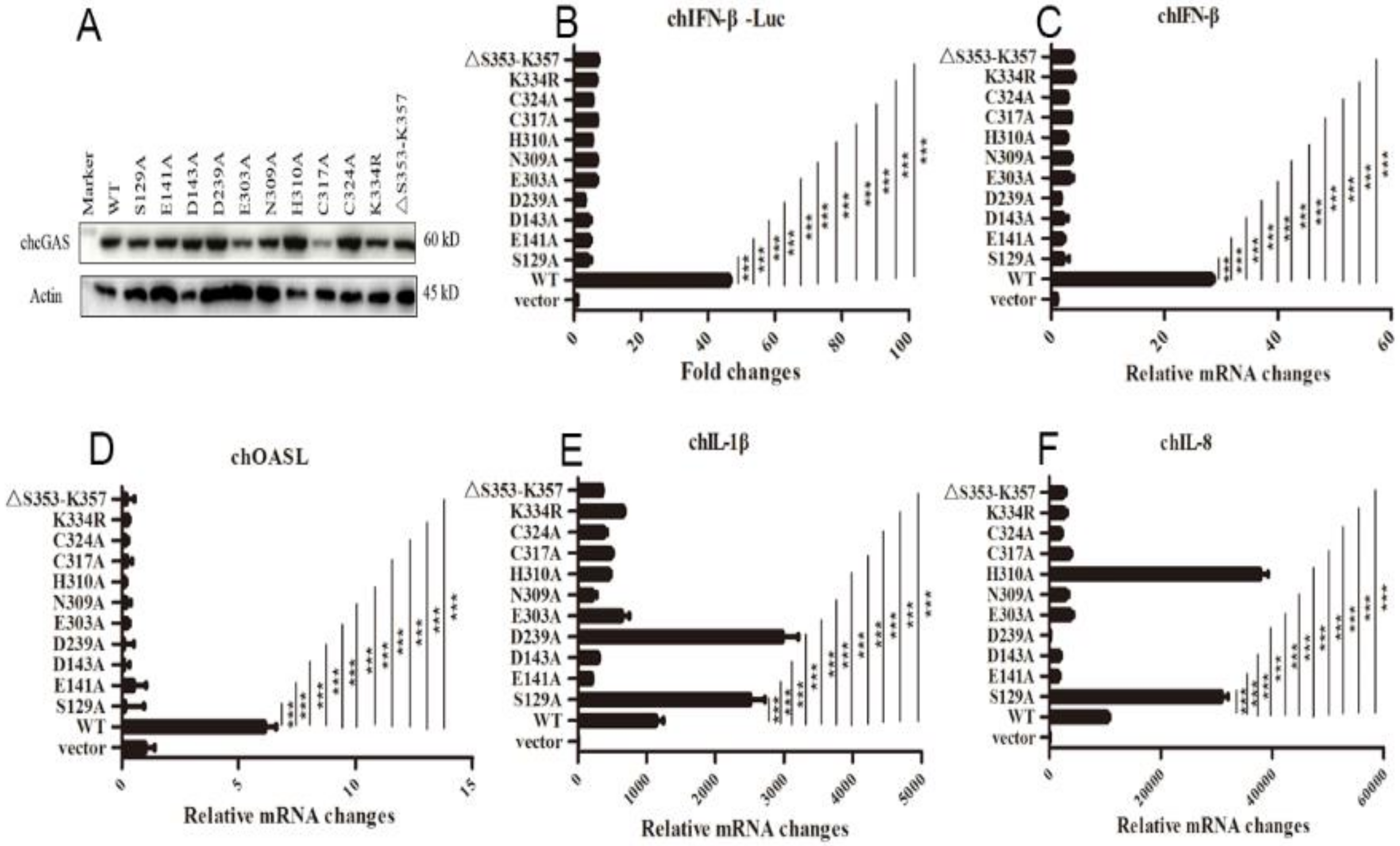 Vaccines 08 00369 g004