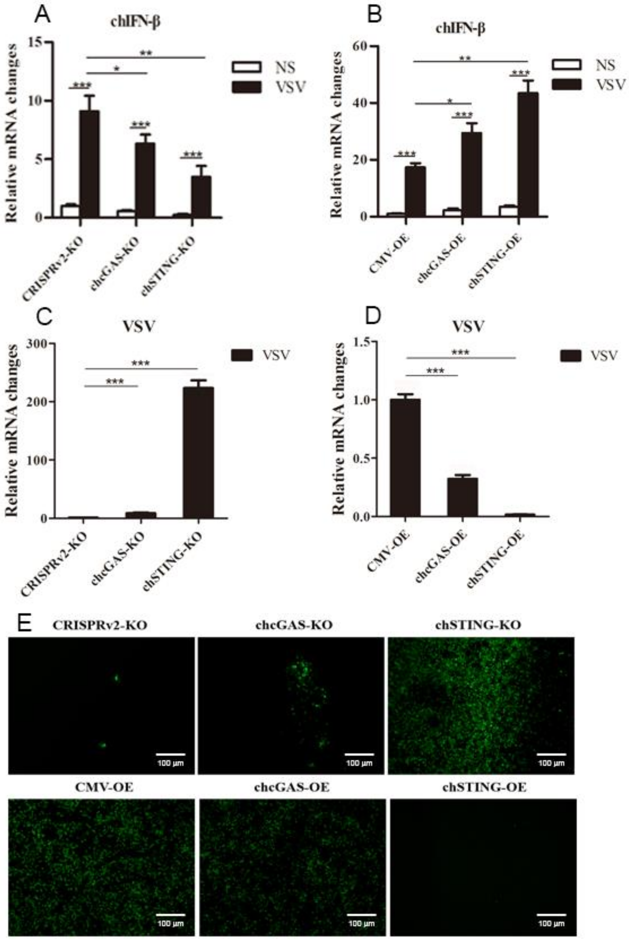 Vaccines 08 00369 g007
