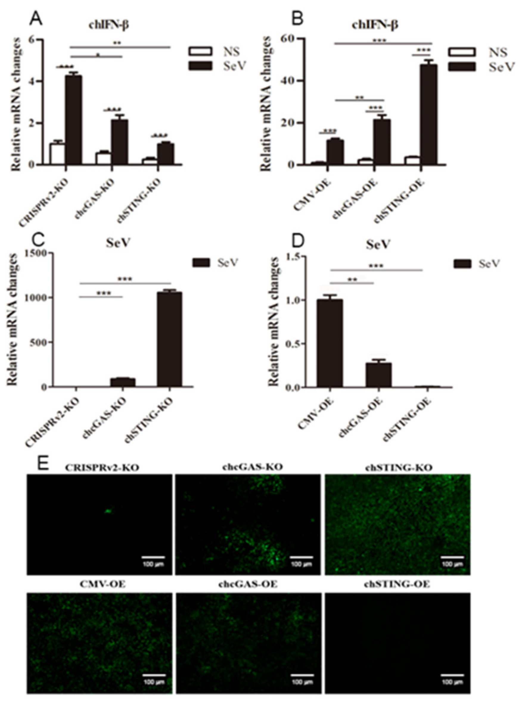 Vaccines 08 00369 g008