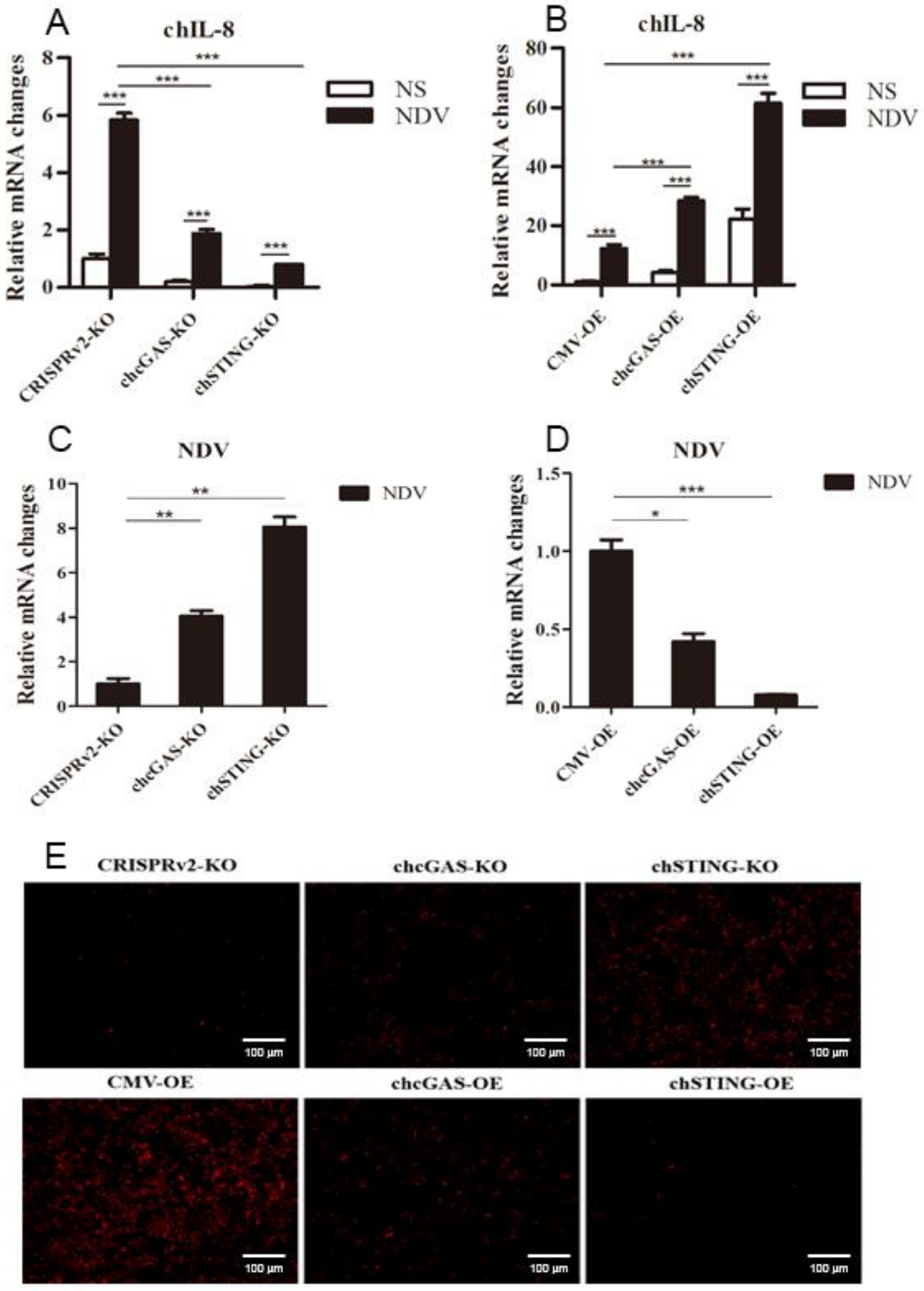 Vaccines 08 00369 g010