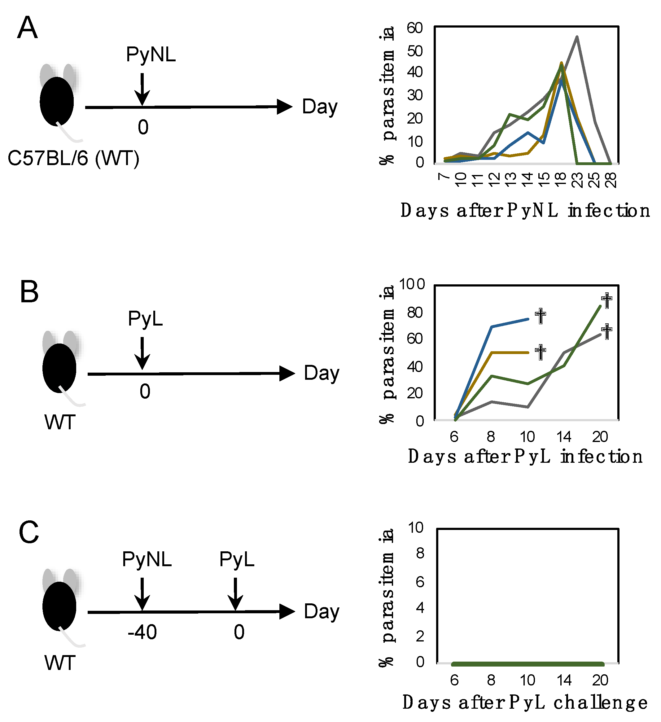 Vaccines 08 00375 g001 Vaccines 08 00375 g001