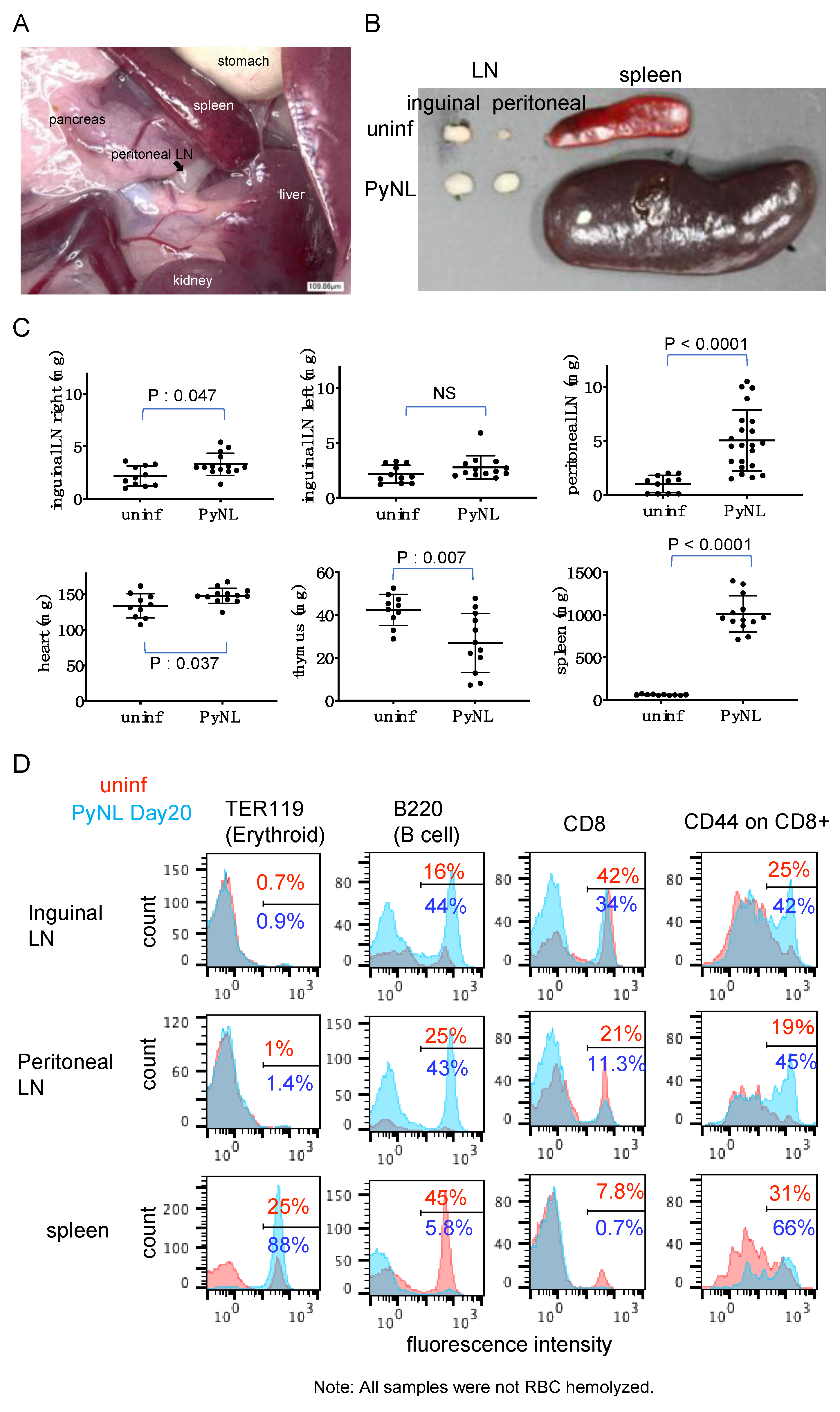 Vaccines 08 00375 g002 Vaccines 08 00375 g002