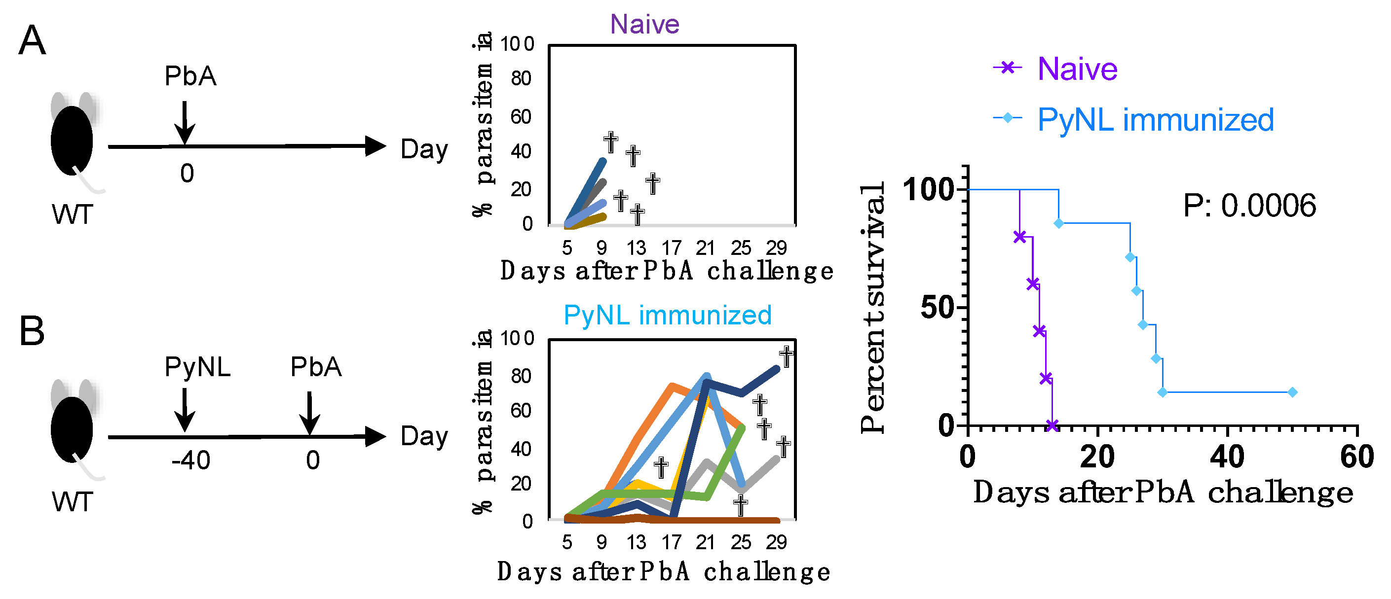 Vaccines 08 00375 g005 Vaccines 08 00375 g005