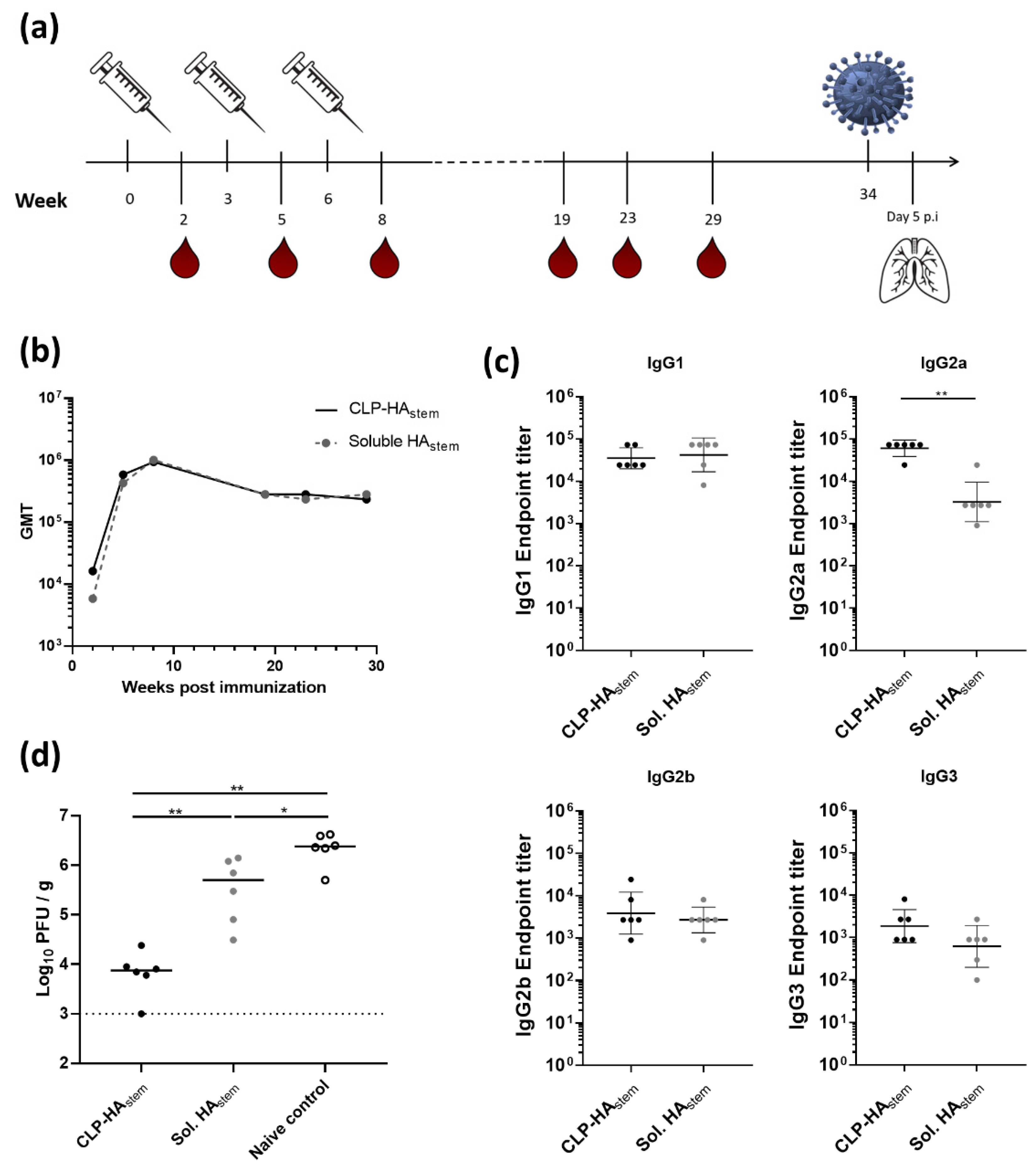 Vaccines 08 00389 g003 Vaccines 08 00389 g003