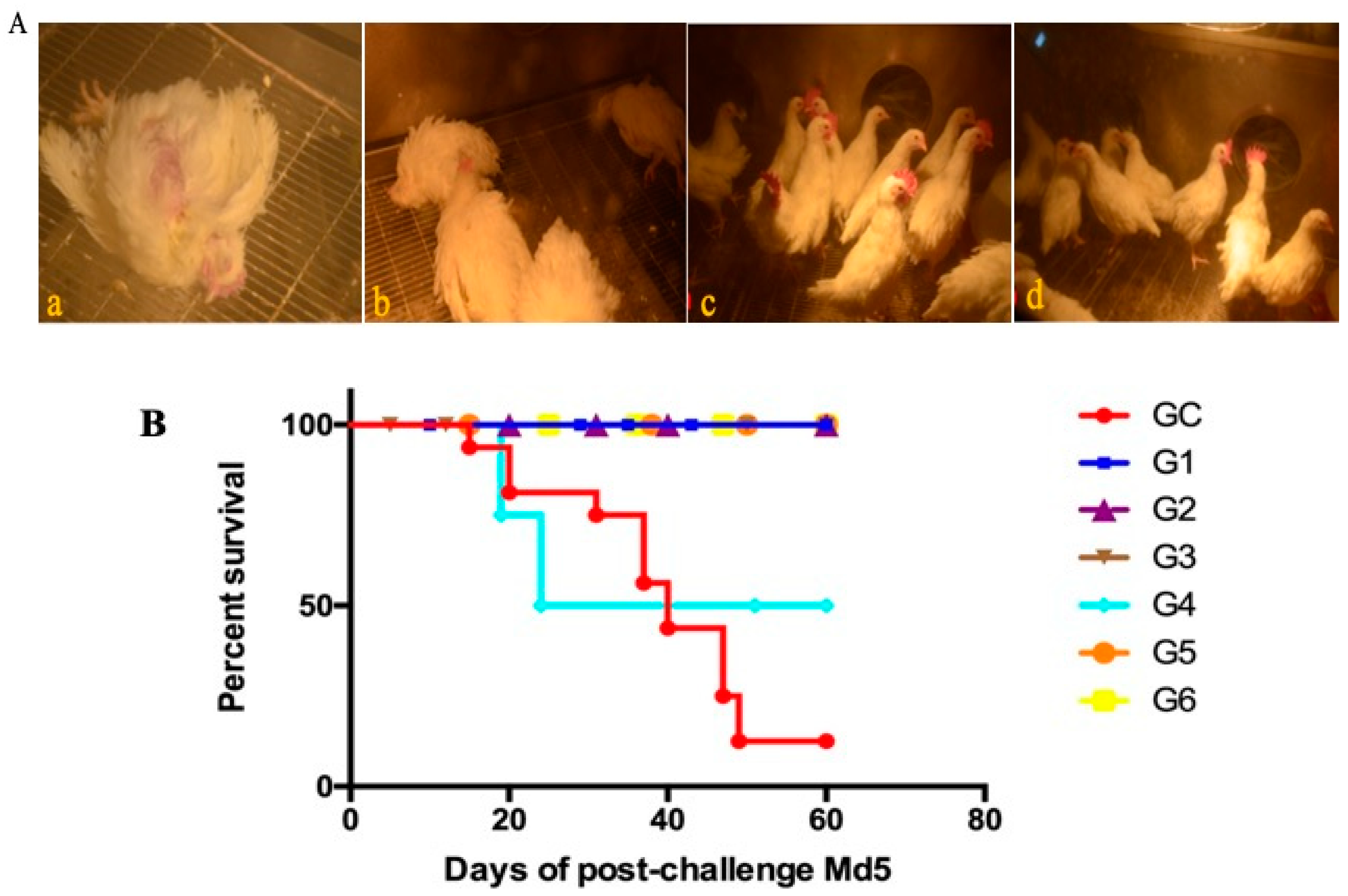 Vaccines 08 00399 g006a