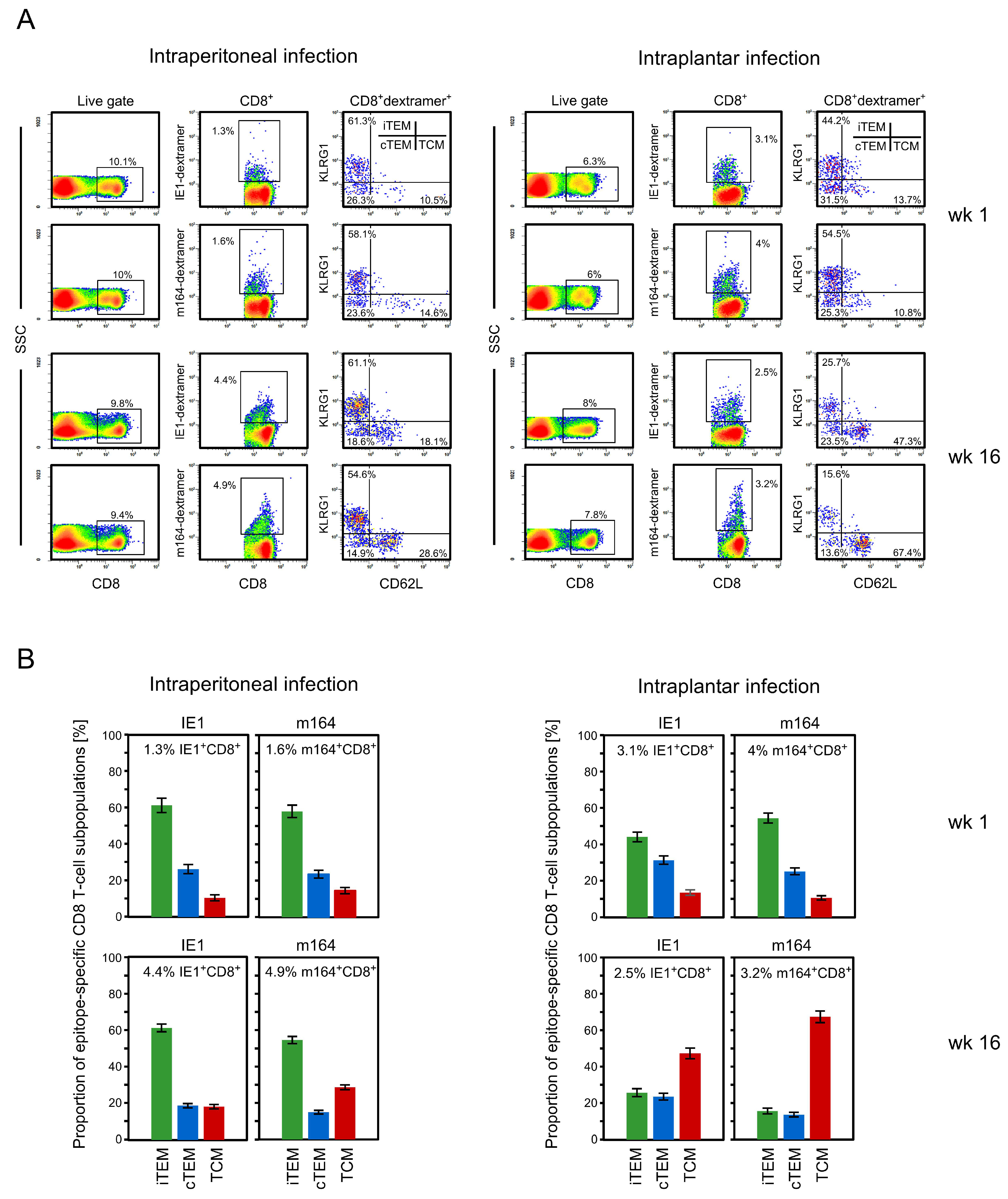 Vaccines 08 00402 g001 Vaccines 08 00402 g001