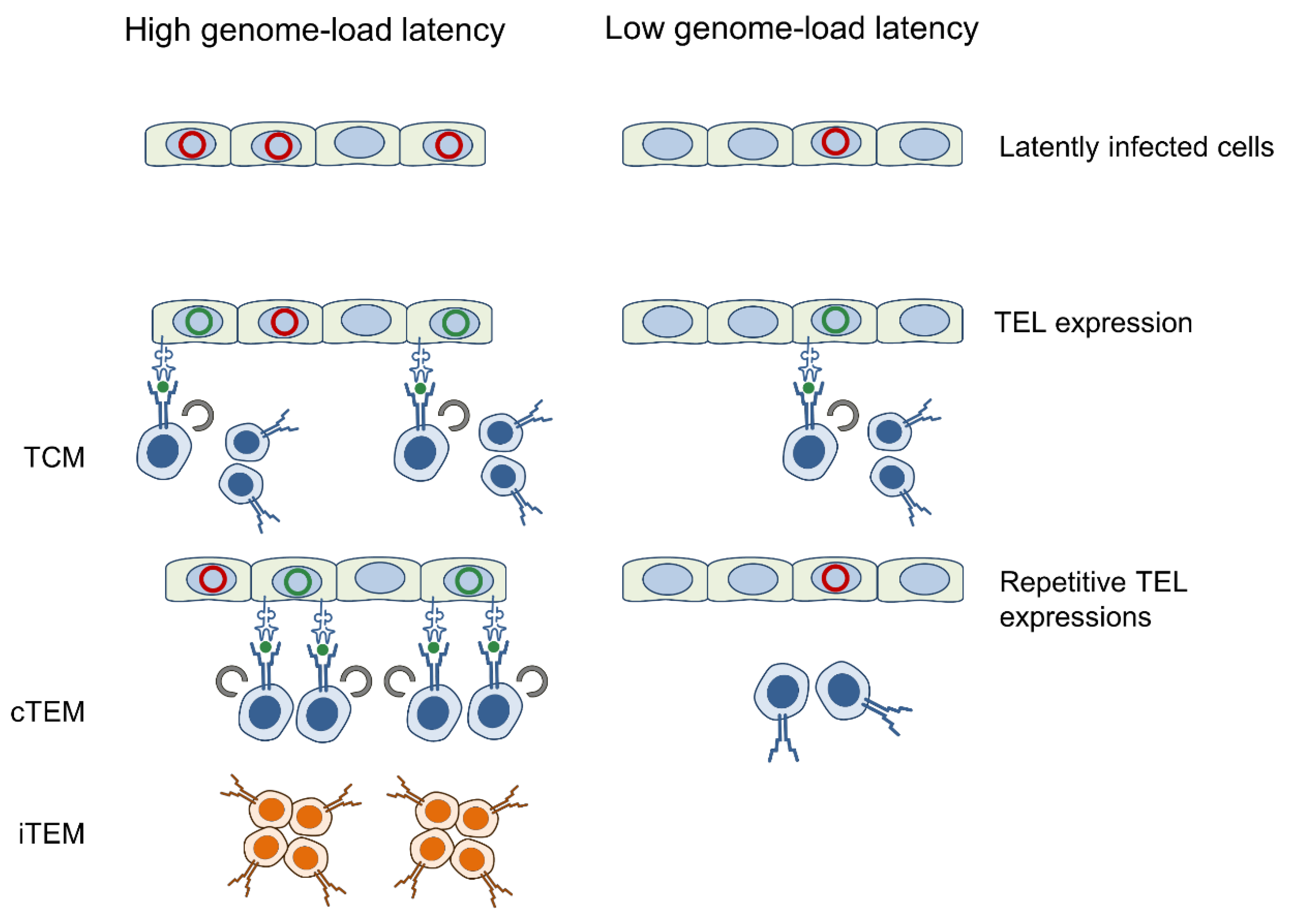 Vaccines 08 00402 g008 Vaccines 08 00402 g008
