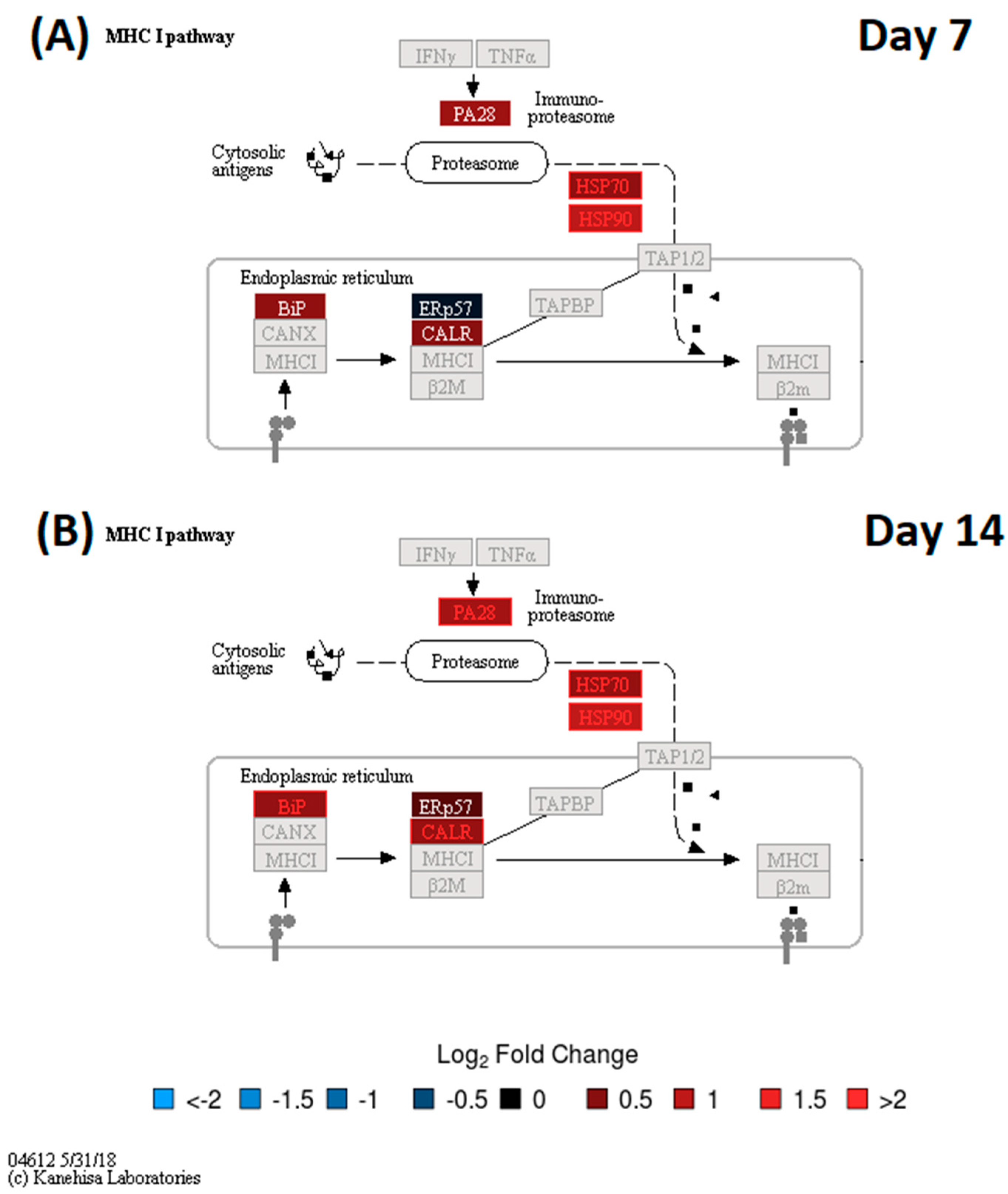 Vaccines 08 00413 g002 Vaccines 08 00413 g002