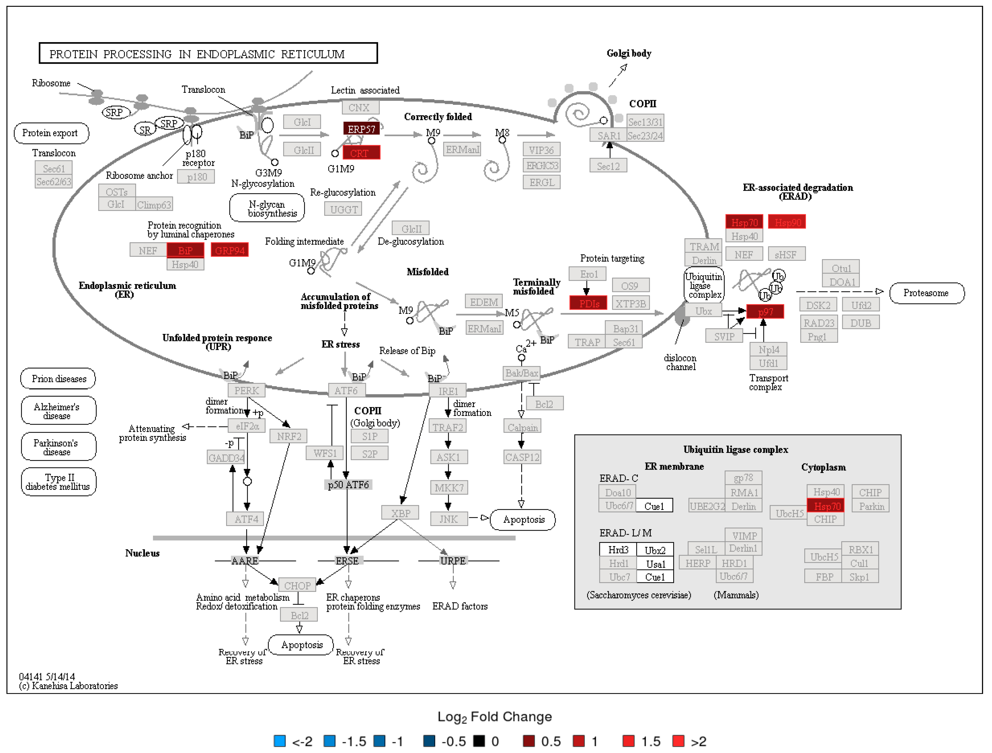 Vaccines 08 00413 g003 Vaccines 08 00413 g003