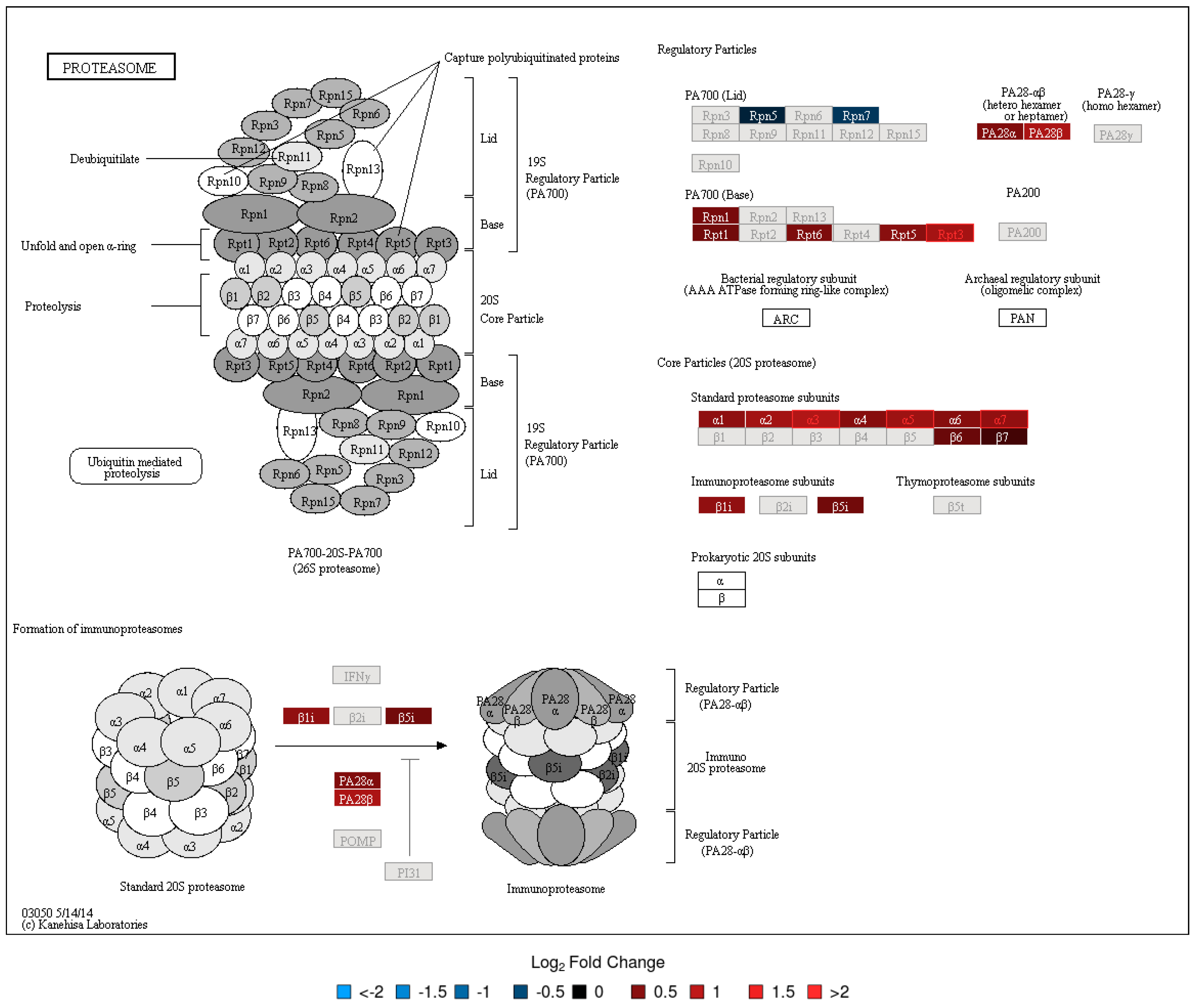 Vaccines 08 00413 g004 Vaccines 08 00413 g004