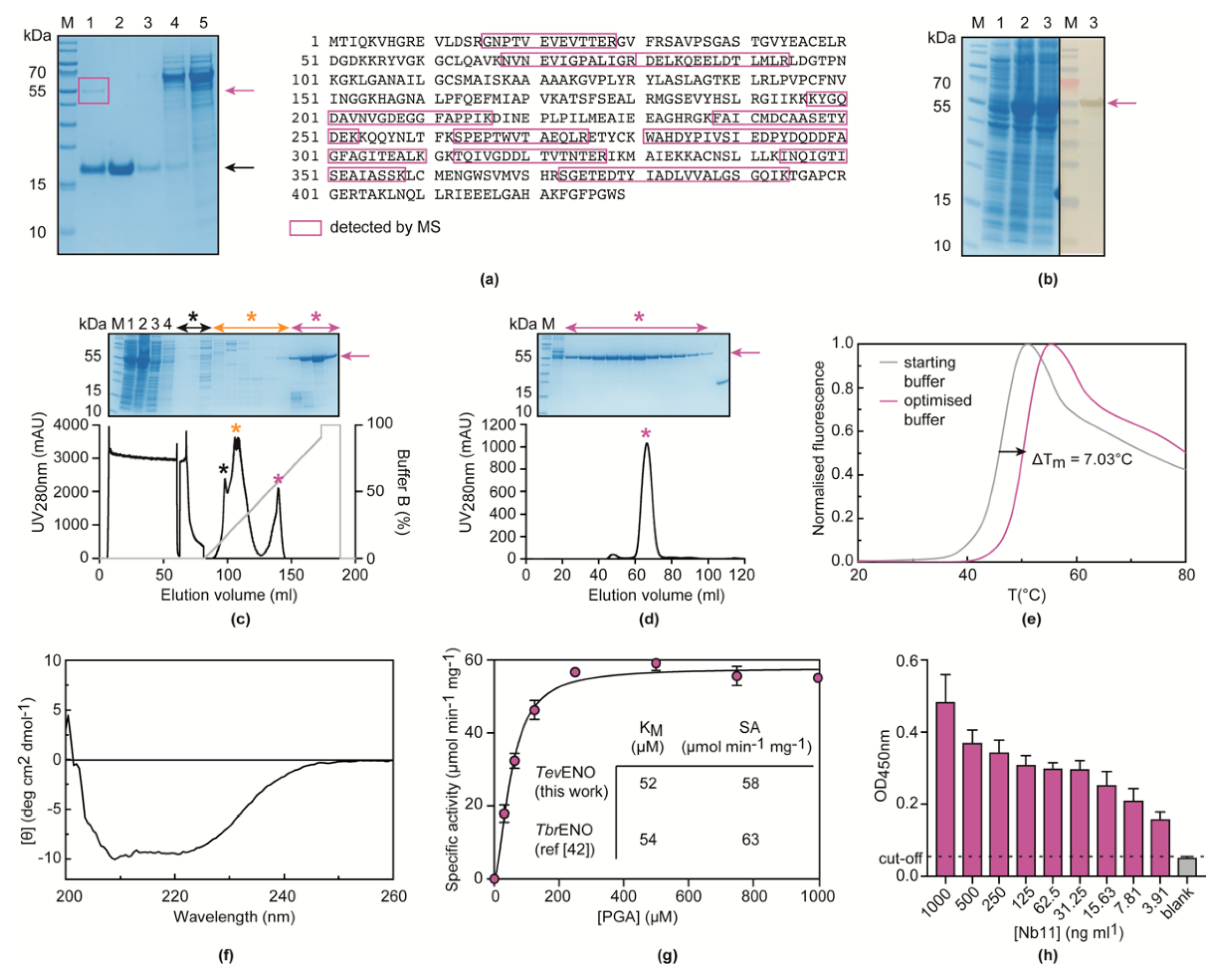 Vaccines 08 00415 g003 Vaccines 08 00415 g003