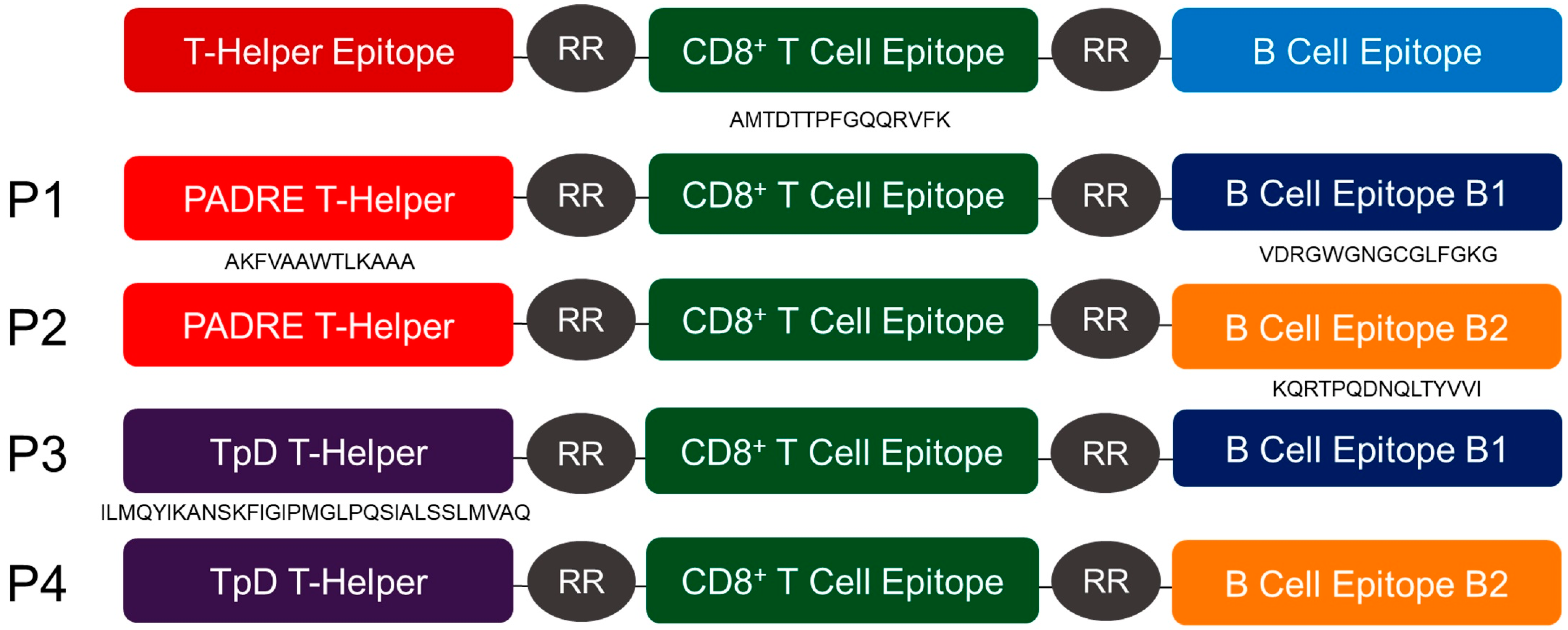 Vaccines 08 00417 g001 Vaccines 08 00417 g001