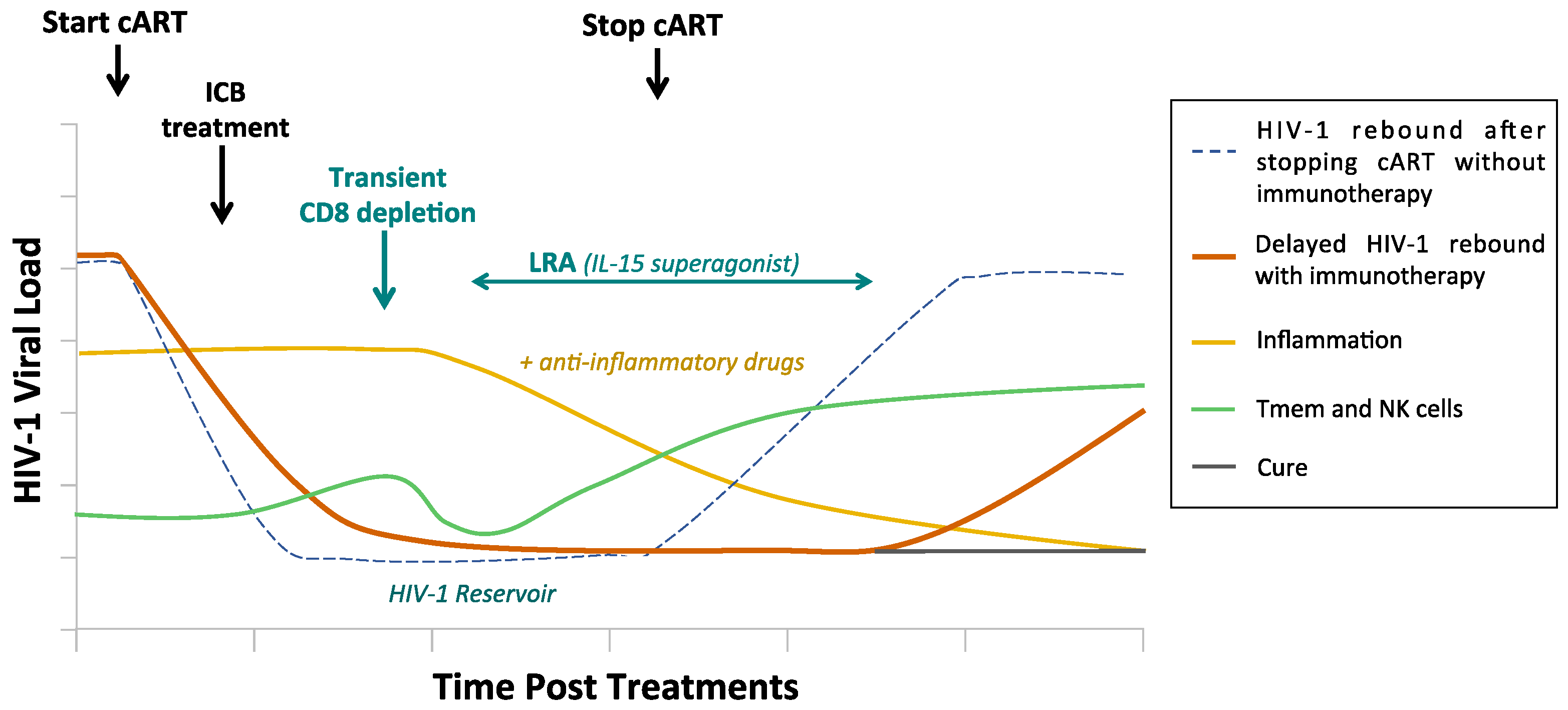 Vaccines 08 00419 g002