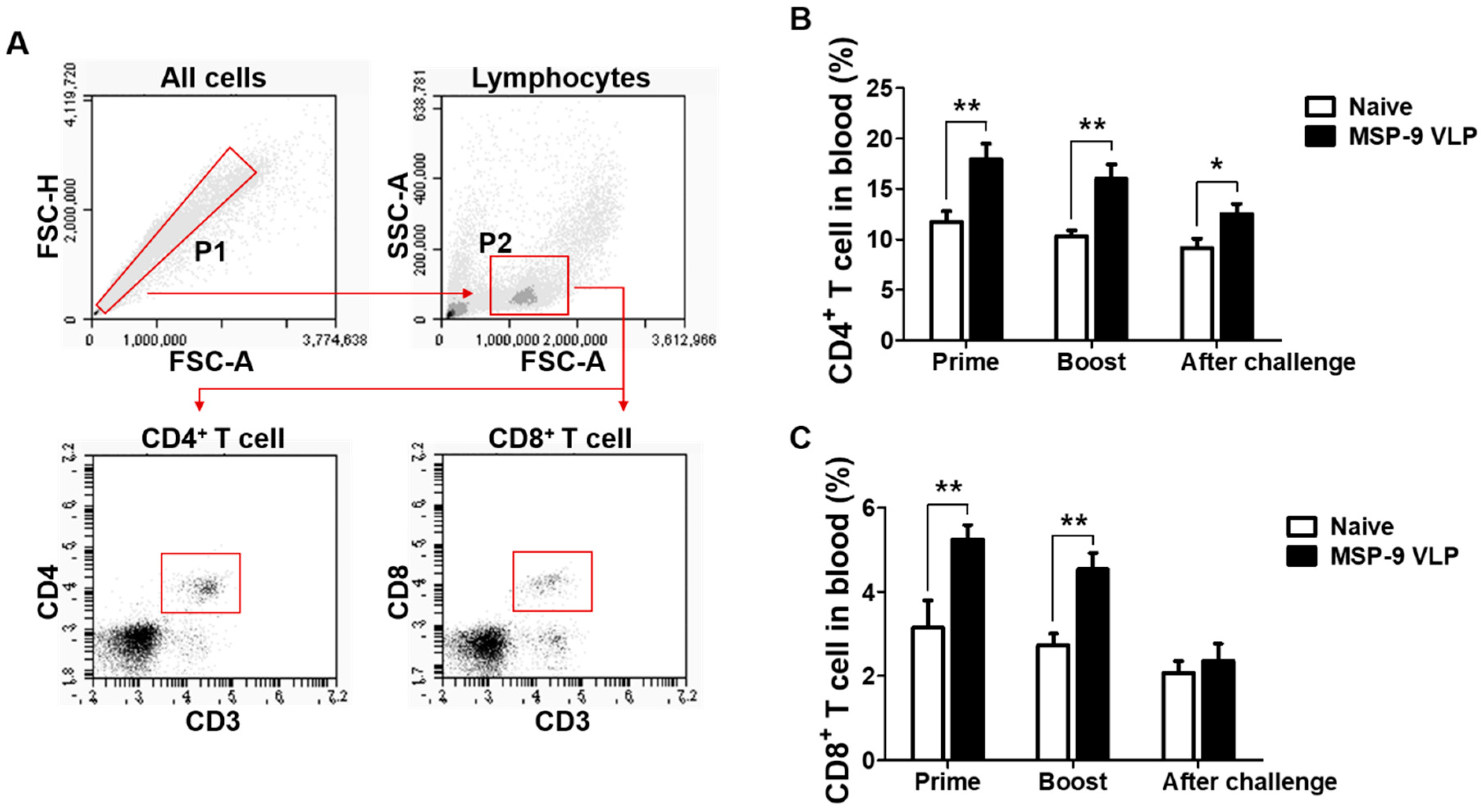 Vaccines 08 00428 g003 Vaccines 08 00428 g003